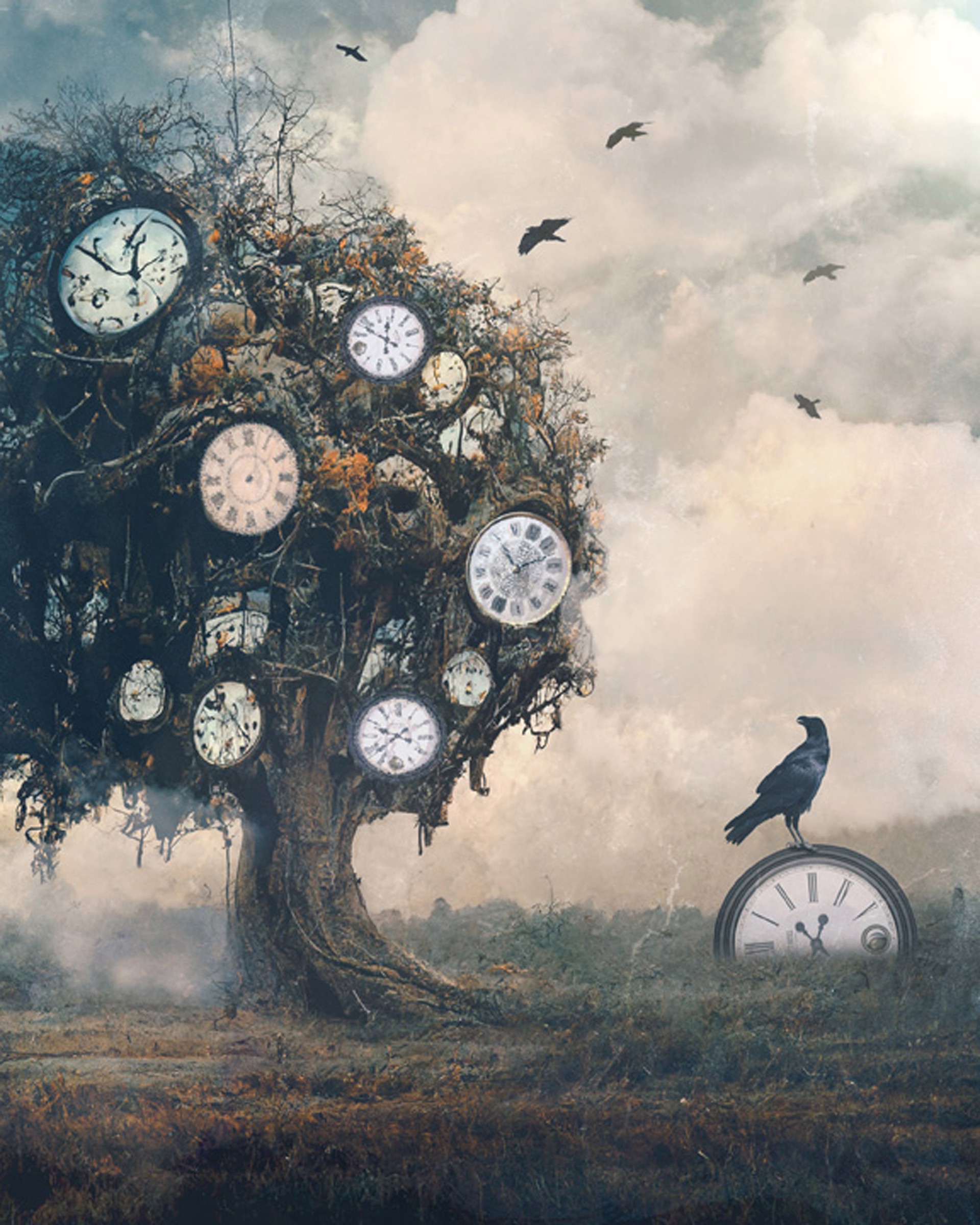 The Tree of Time by Patricia Jollimore