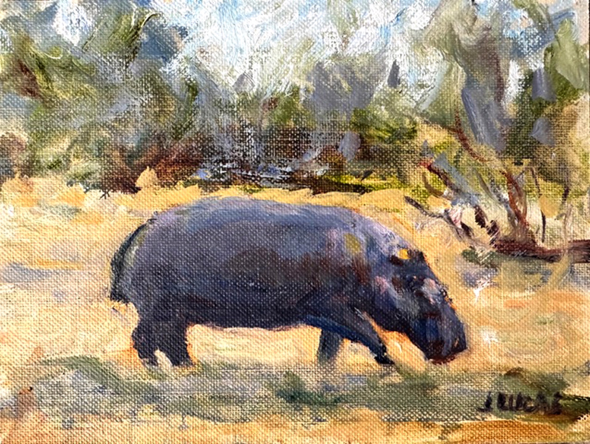 Hippo by Janet Lucas Beck