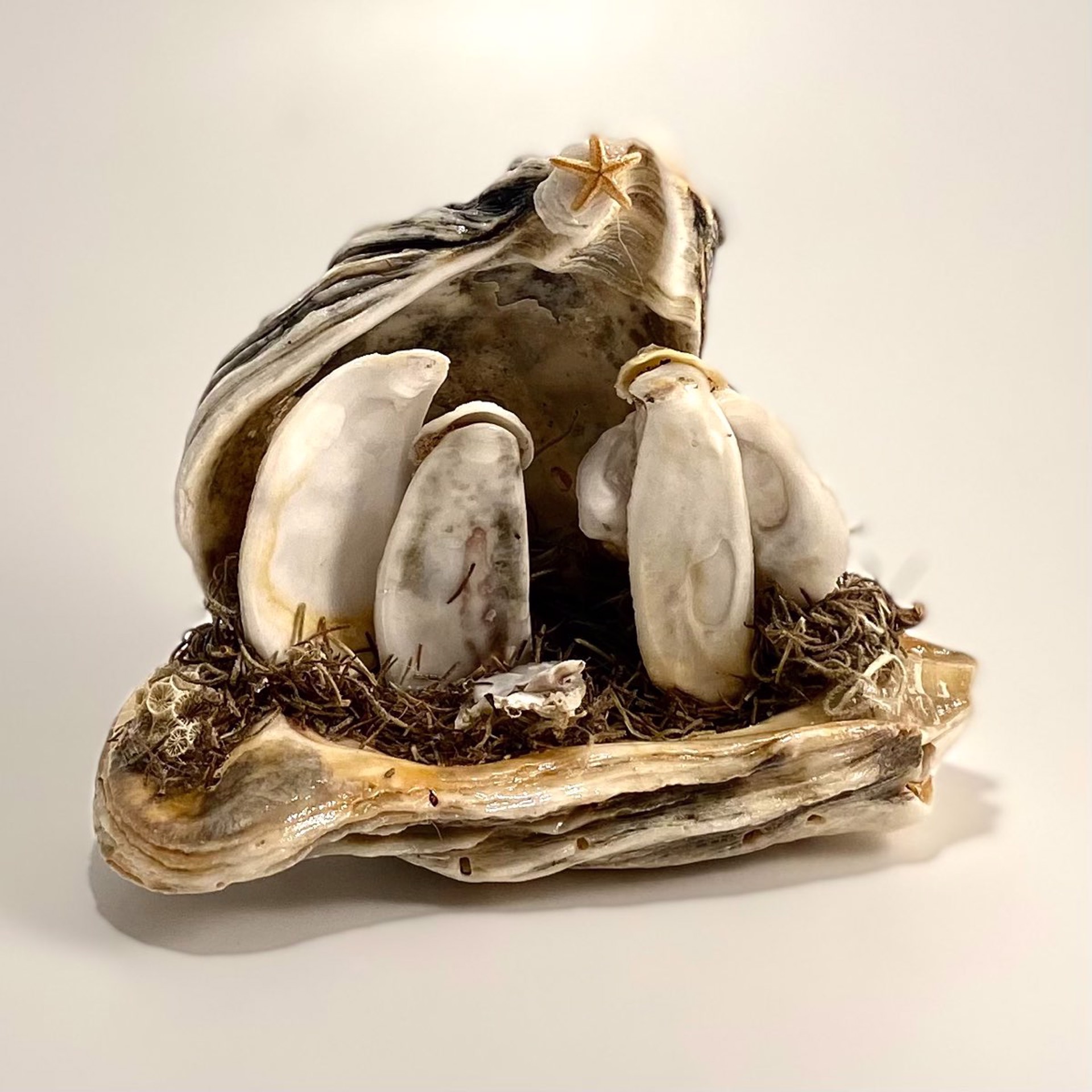 CN22-27  Creche From The Sea~Oyster Shell by Chris Nietert