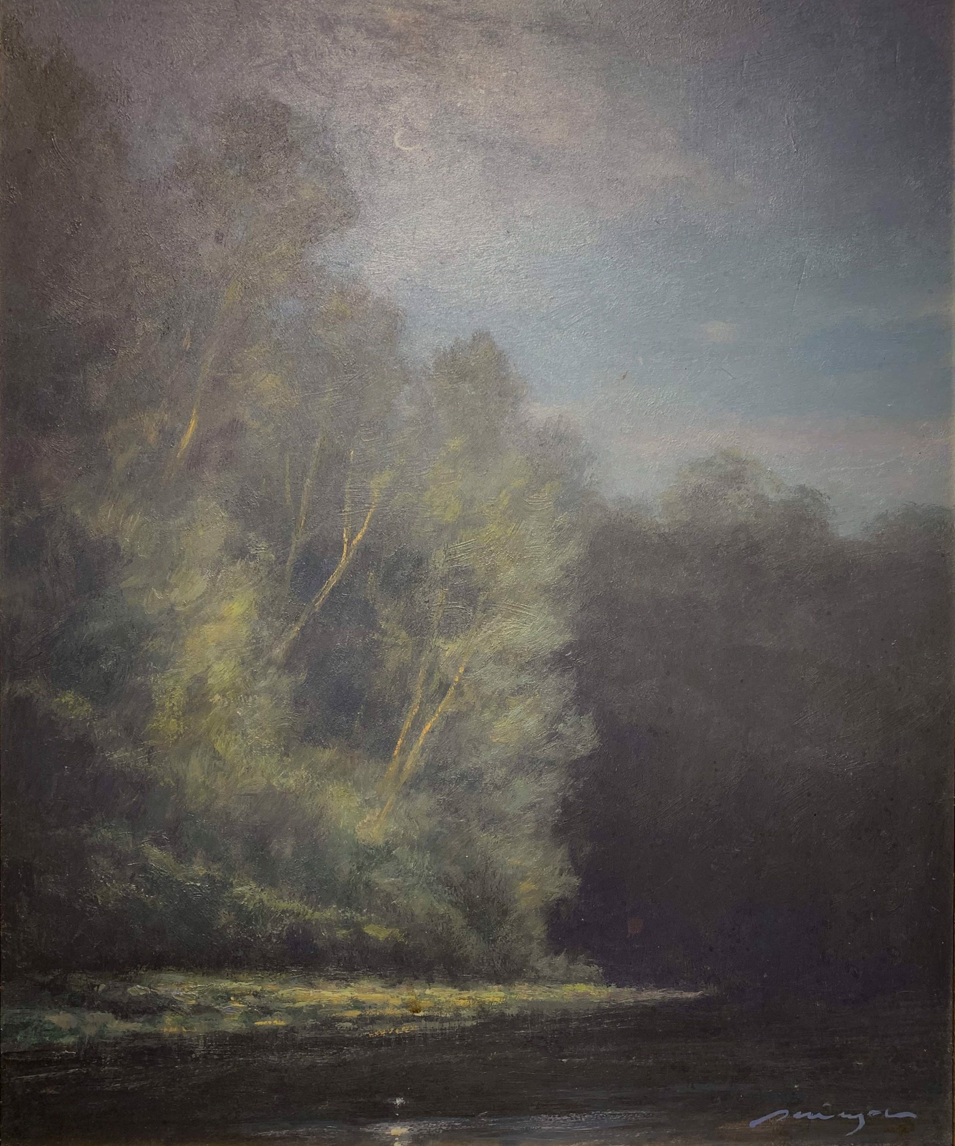 Wekiva River Moonlight by Peter Pettegrew