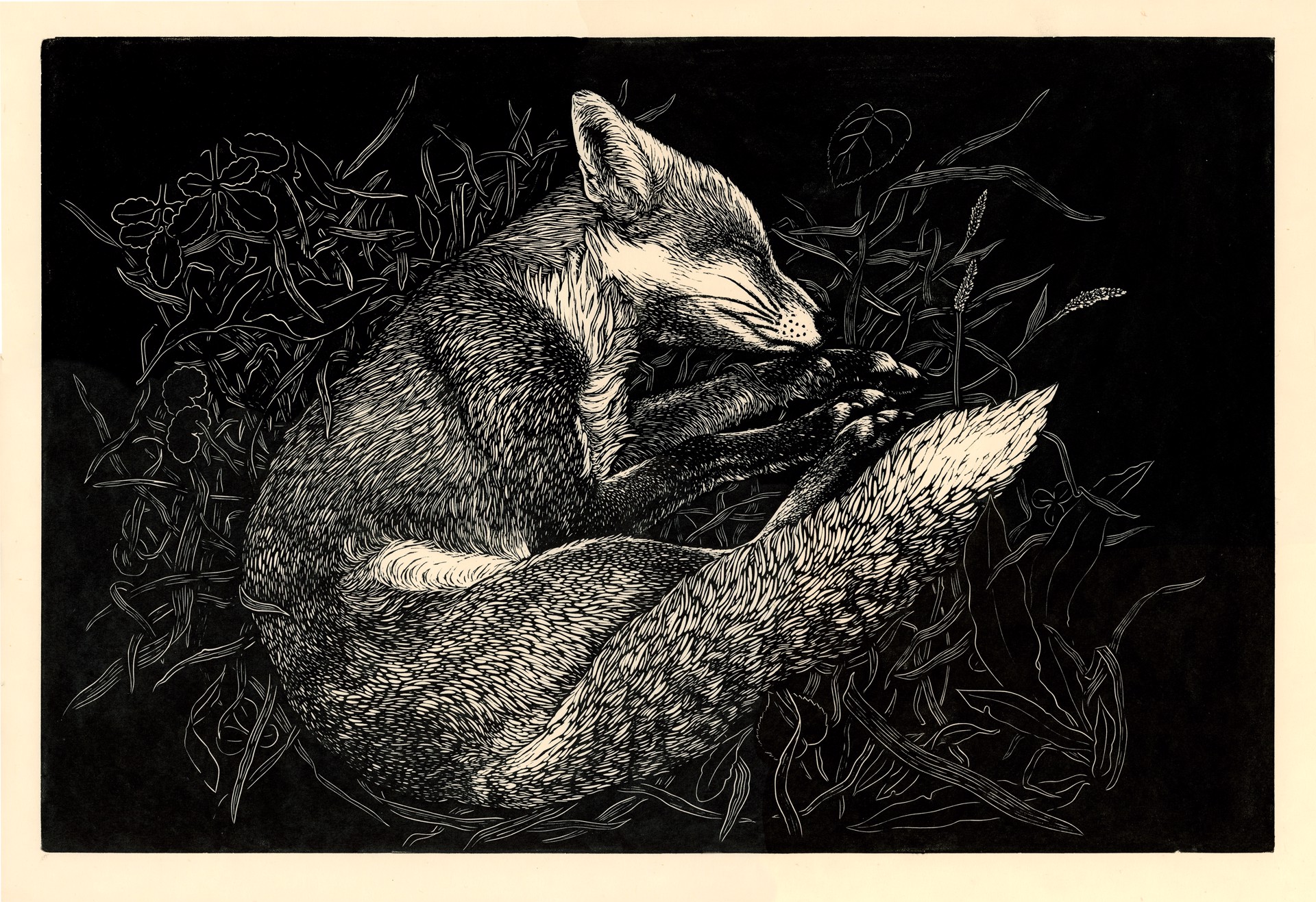 Sleeping Fox by Briony Morrow-Cribbs