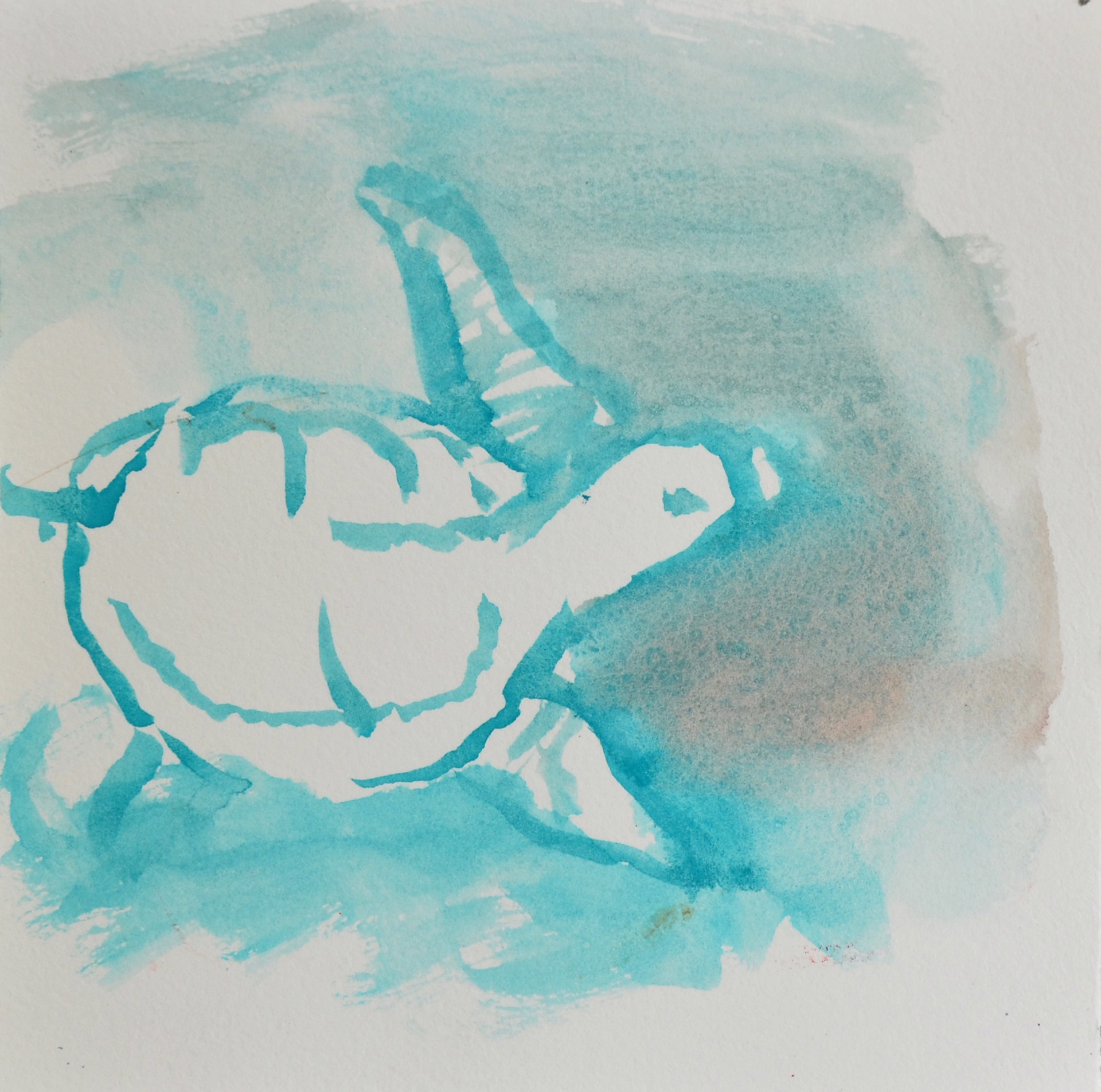 St. George Sea Turtle by Gail Foster