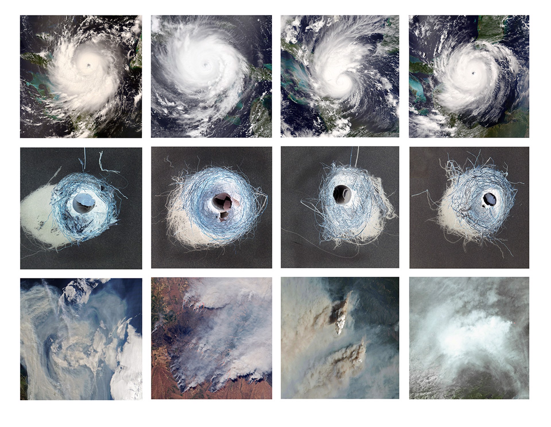 Four Hurricanes by Daniel Ranalli