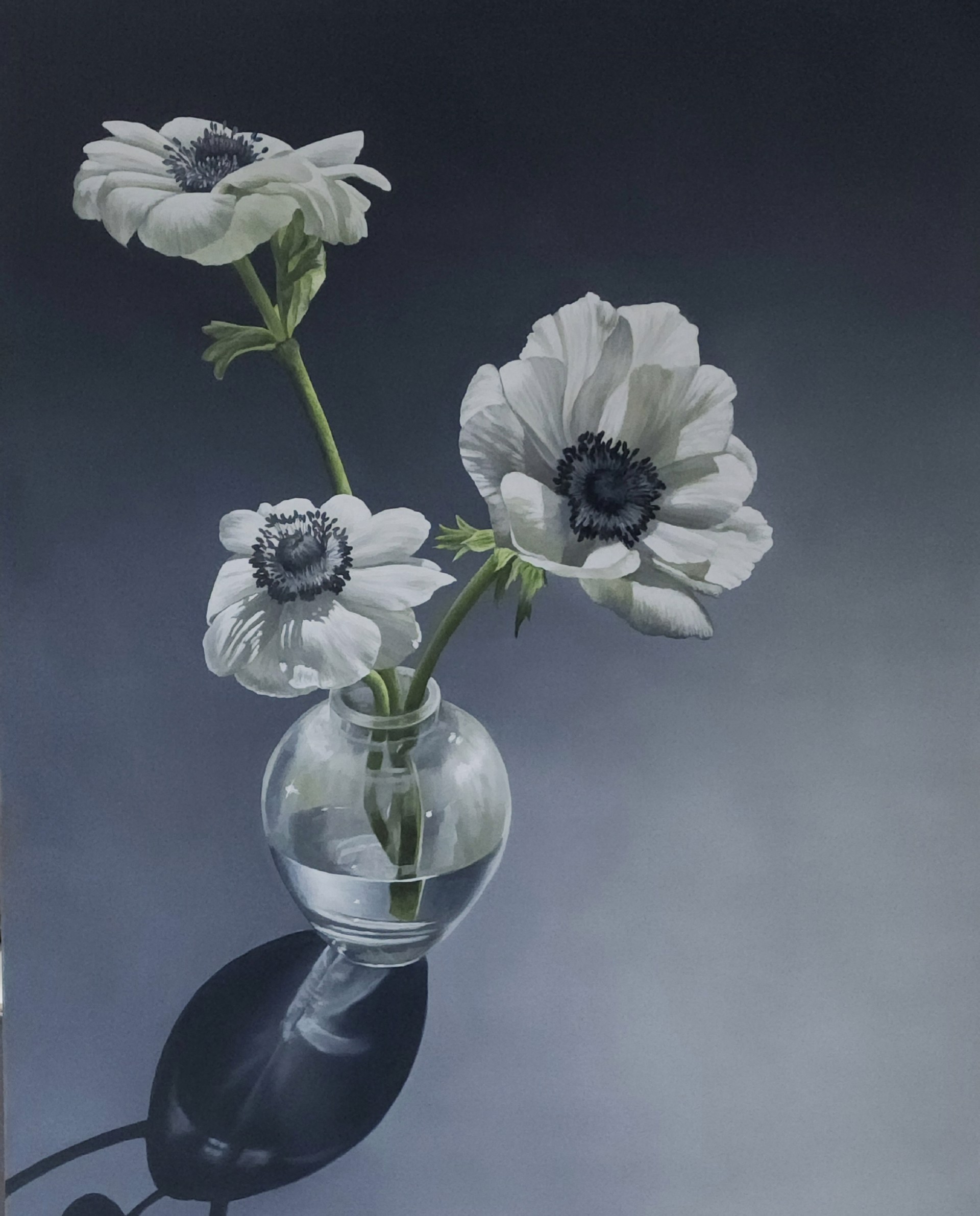 White Anemones by Loren DiBenedetto, OPA