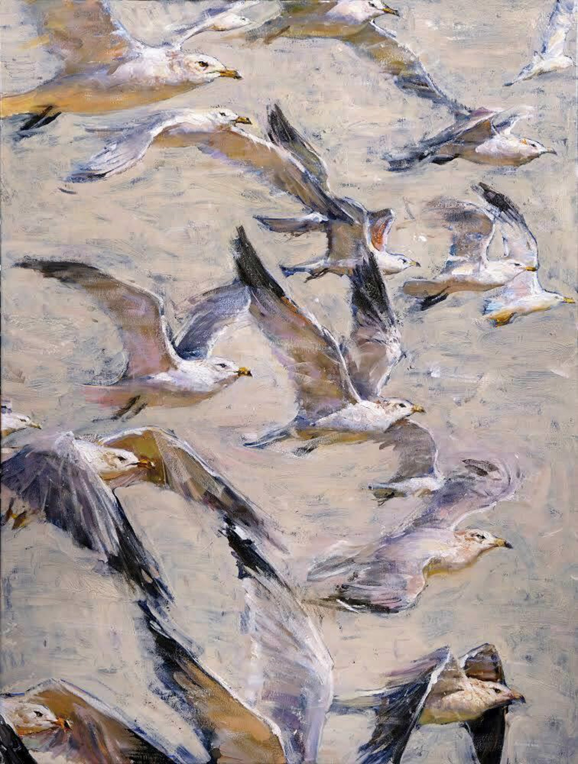 Seagulls by Derek Penix