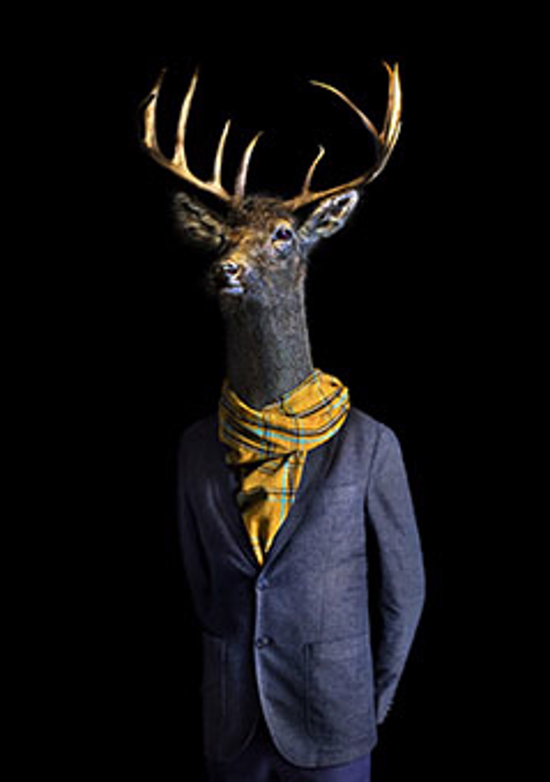 Retrato numero 94 deer by Miguel Vallinas