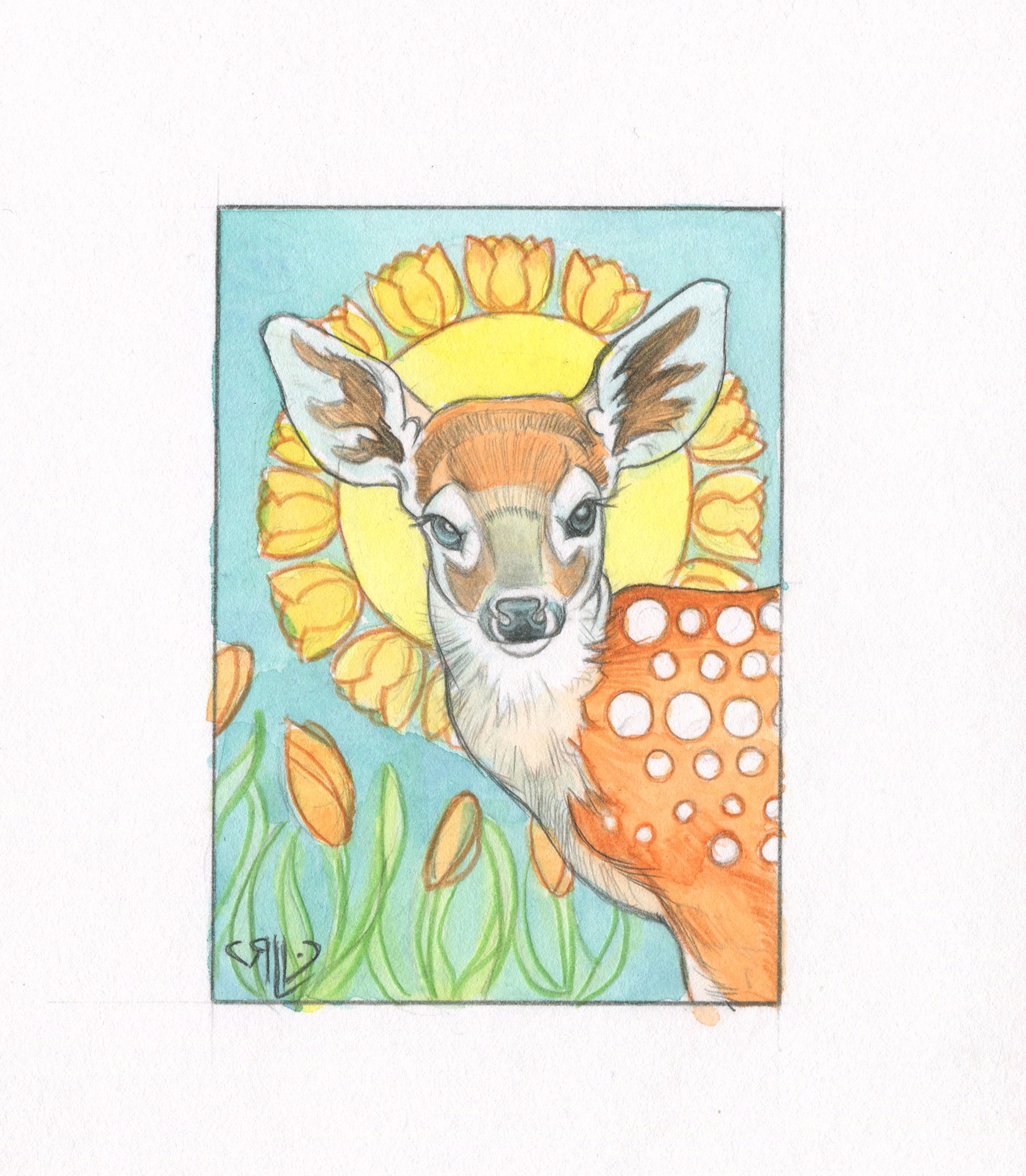 Tiny Deer by Rhonda Libbey