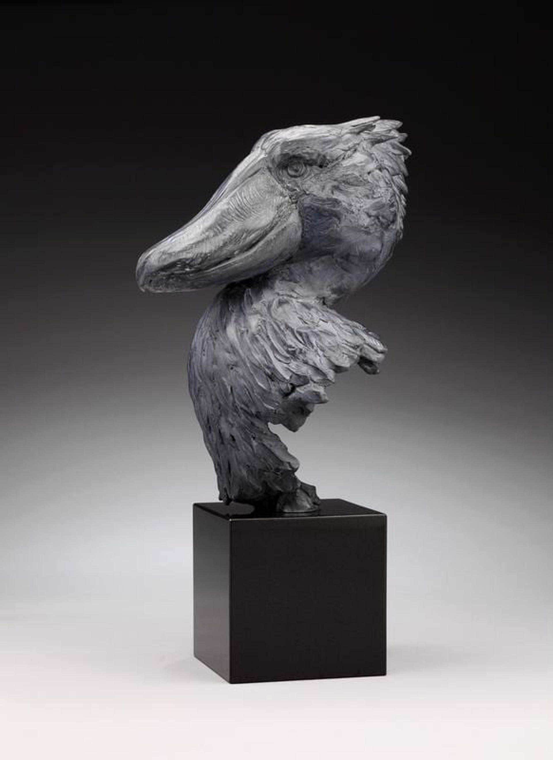 Shoebill (Ed. 10) by Daniel Glanz (sculptor)