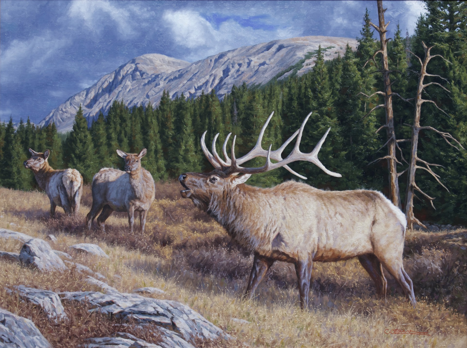 The Last Call by Cody Oldham