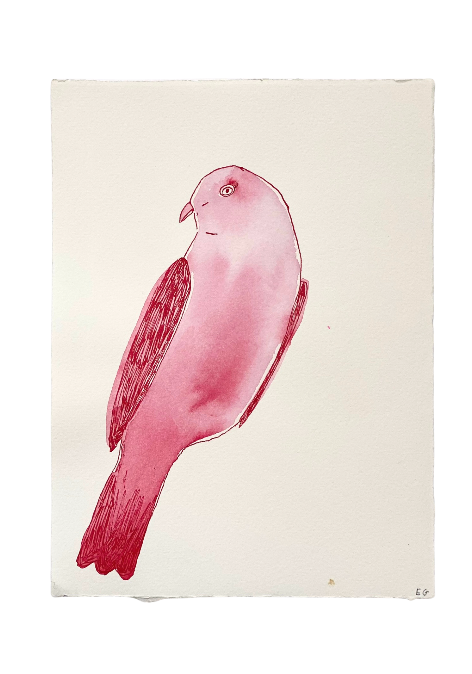 Pink Inkwash Bird #4 by ELIZABETH GRAEBER