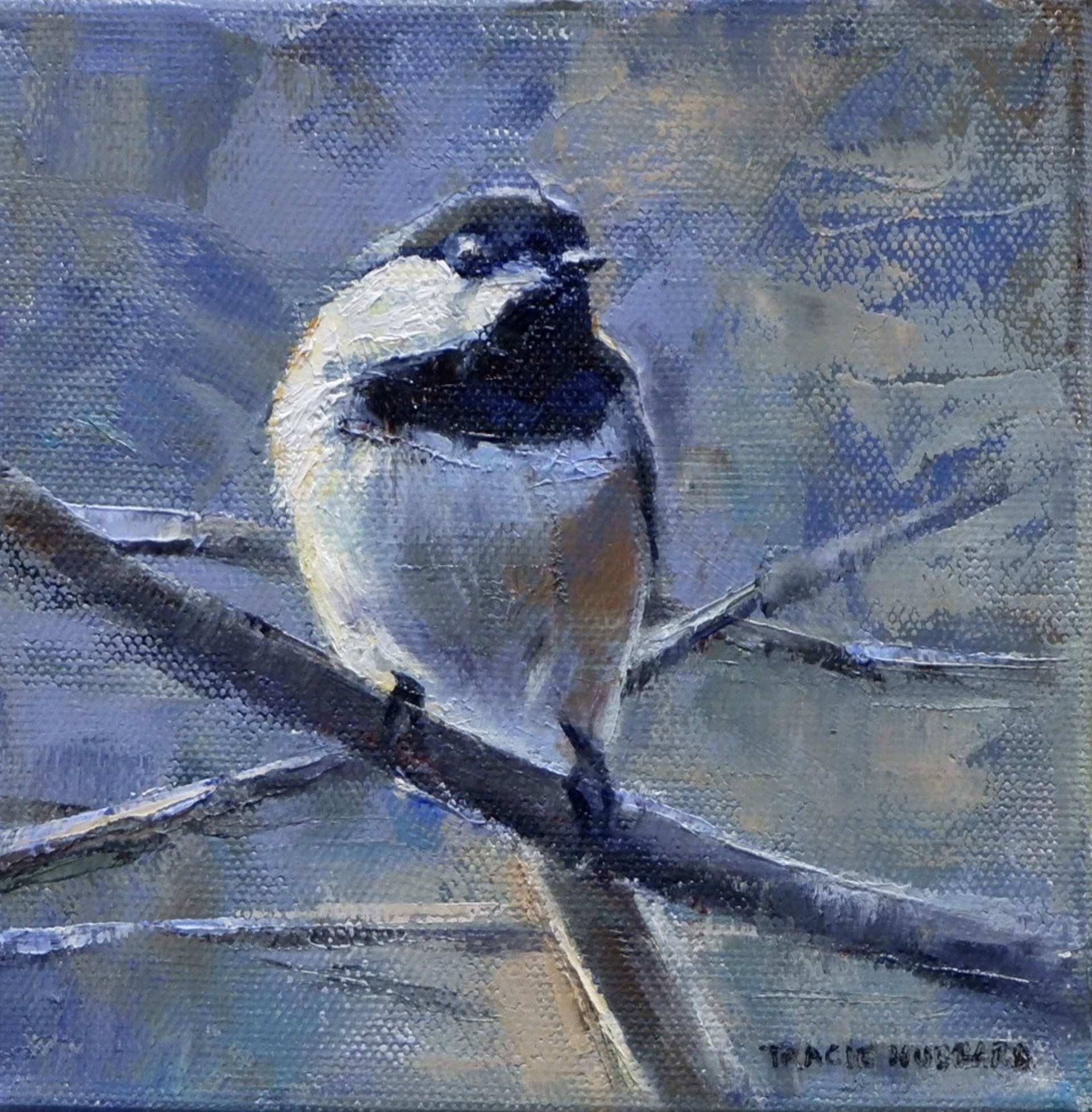 Sunny Disposition by Tracie Hubbard