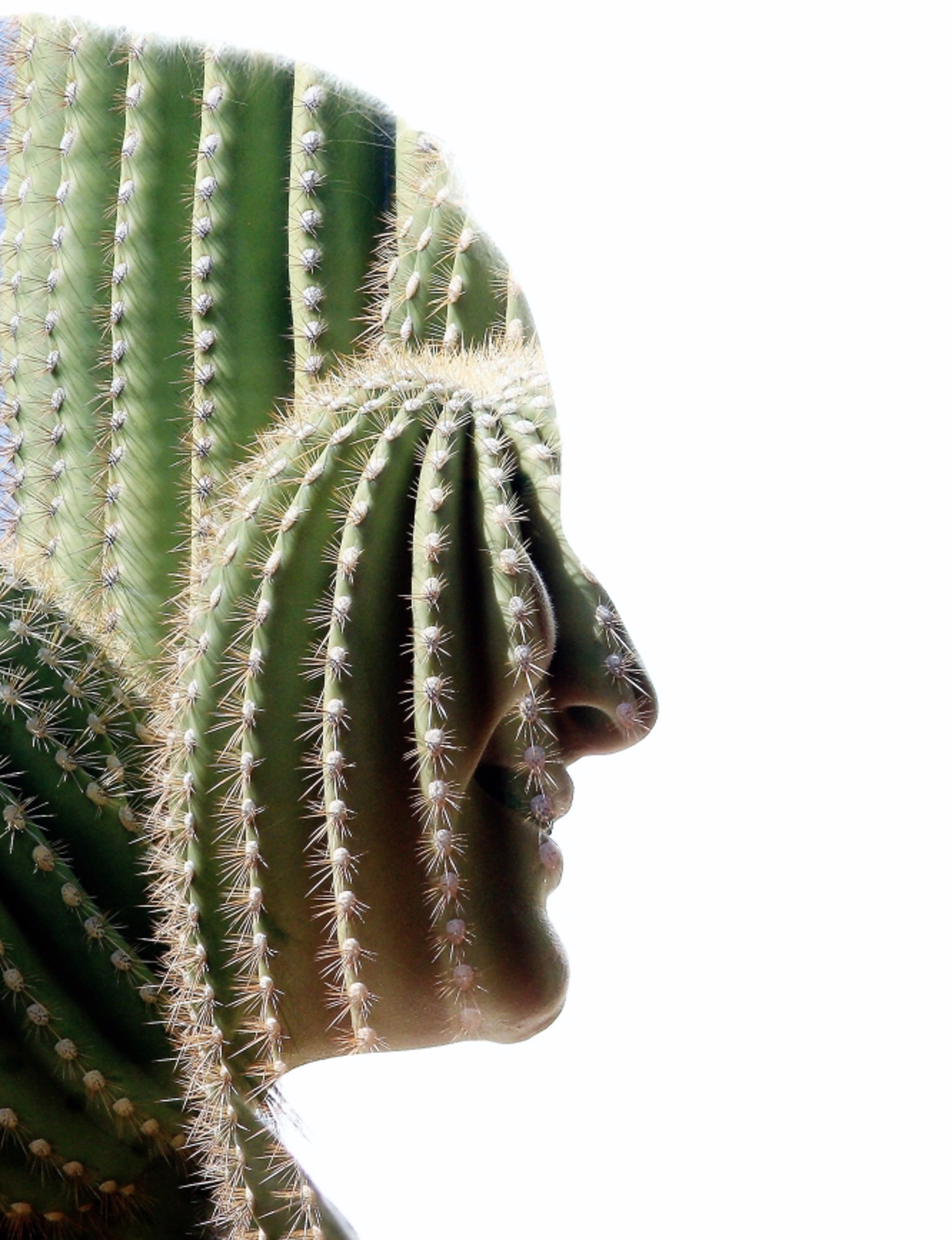 Cactus Eyes, 3/100 by Greg Wickenburg Art One Gallery, Inc.