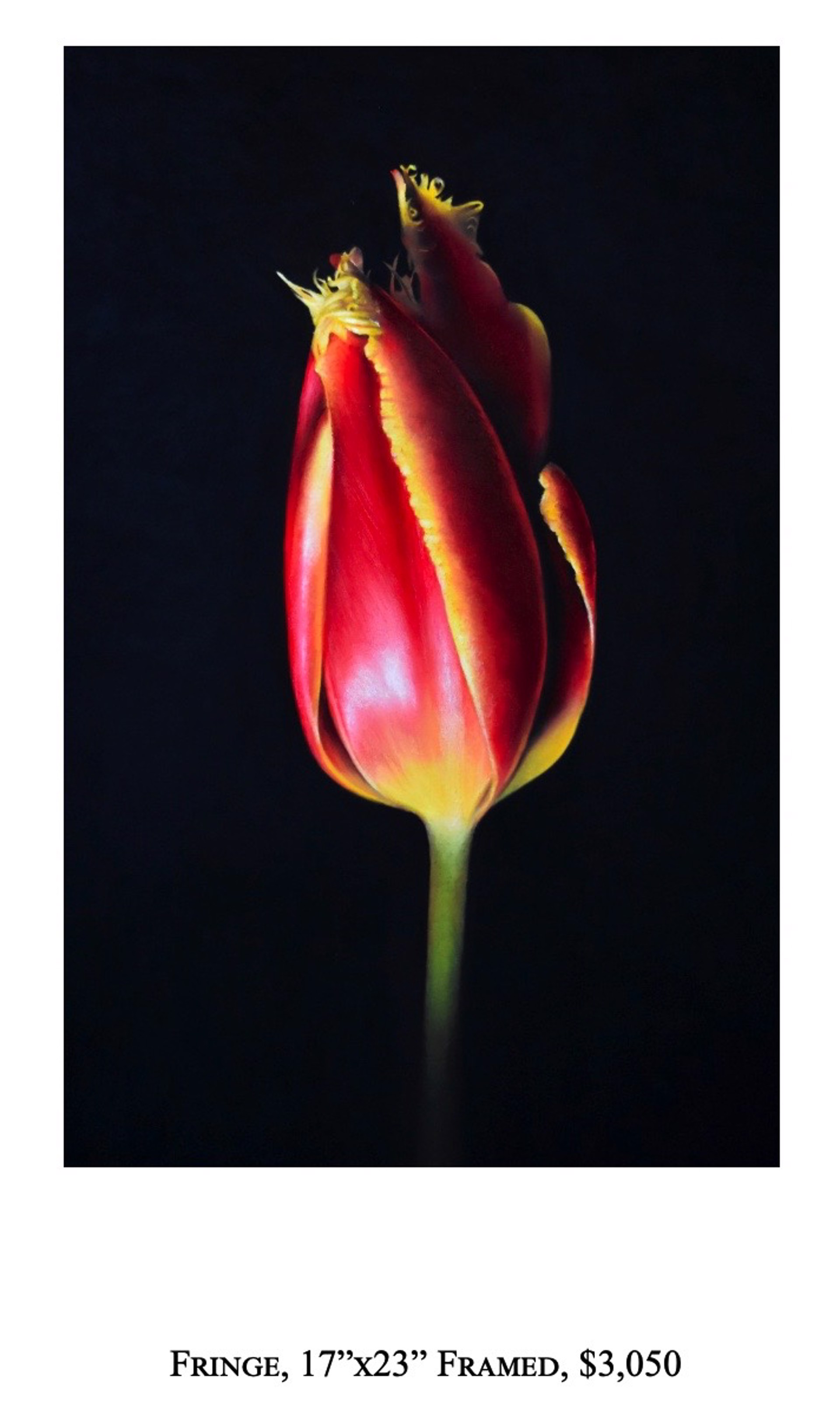 Fringe by Sangita Phadke