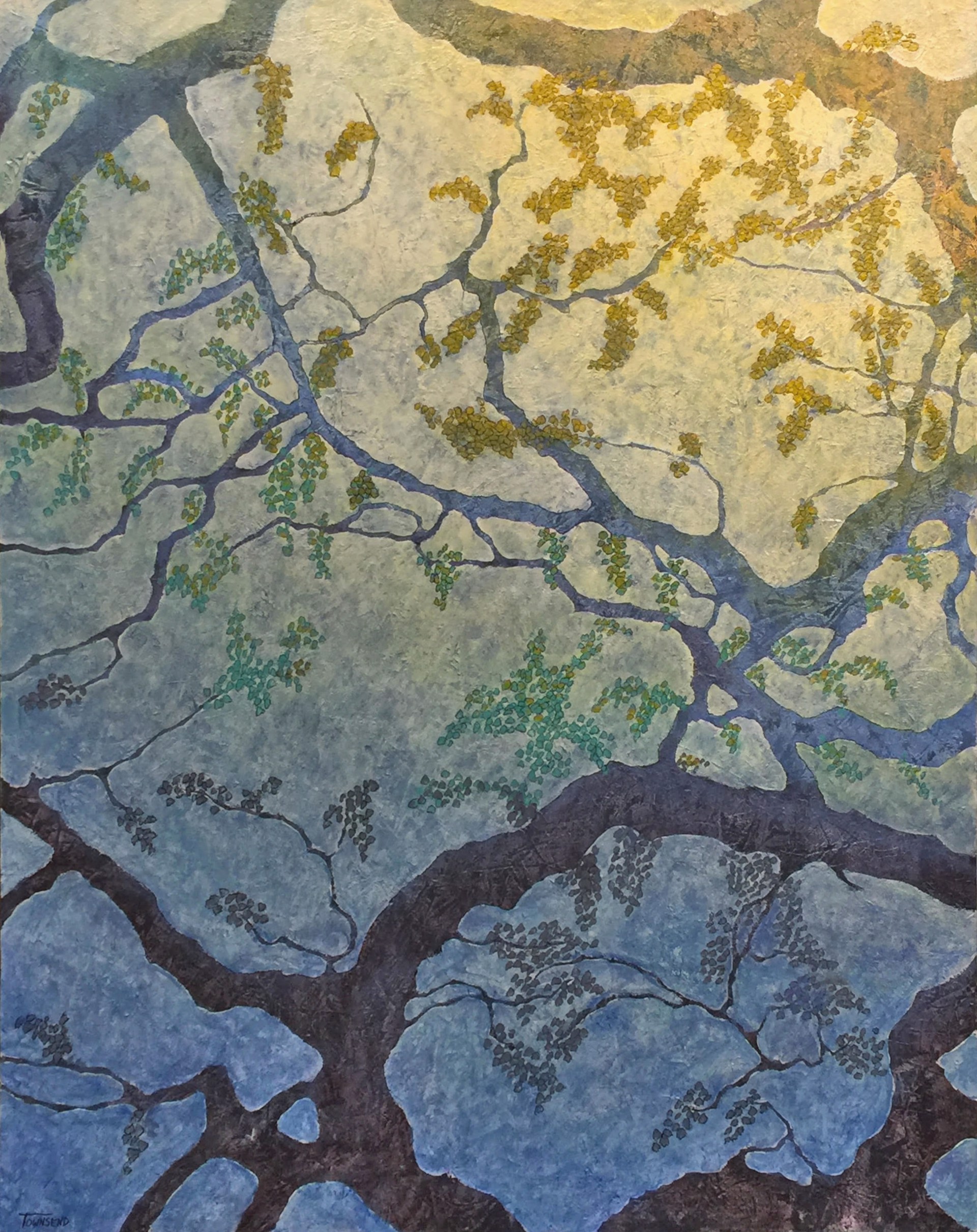 Angel Oak Abstract by John Townsend