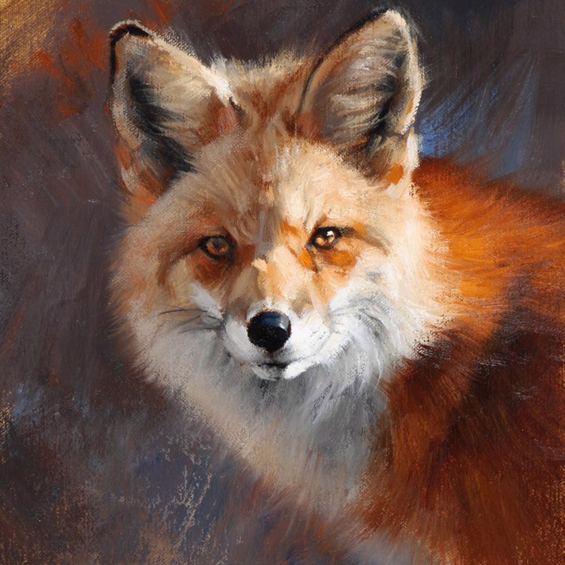 Fox Portrait by Ed Aldrich