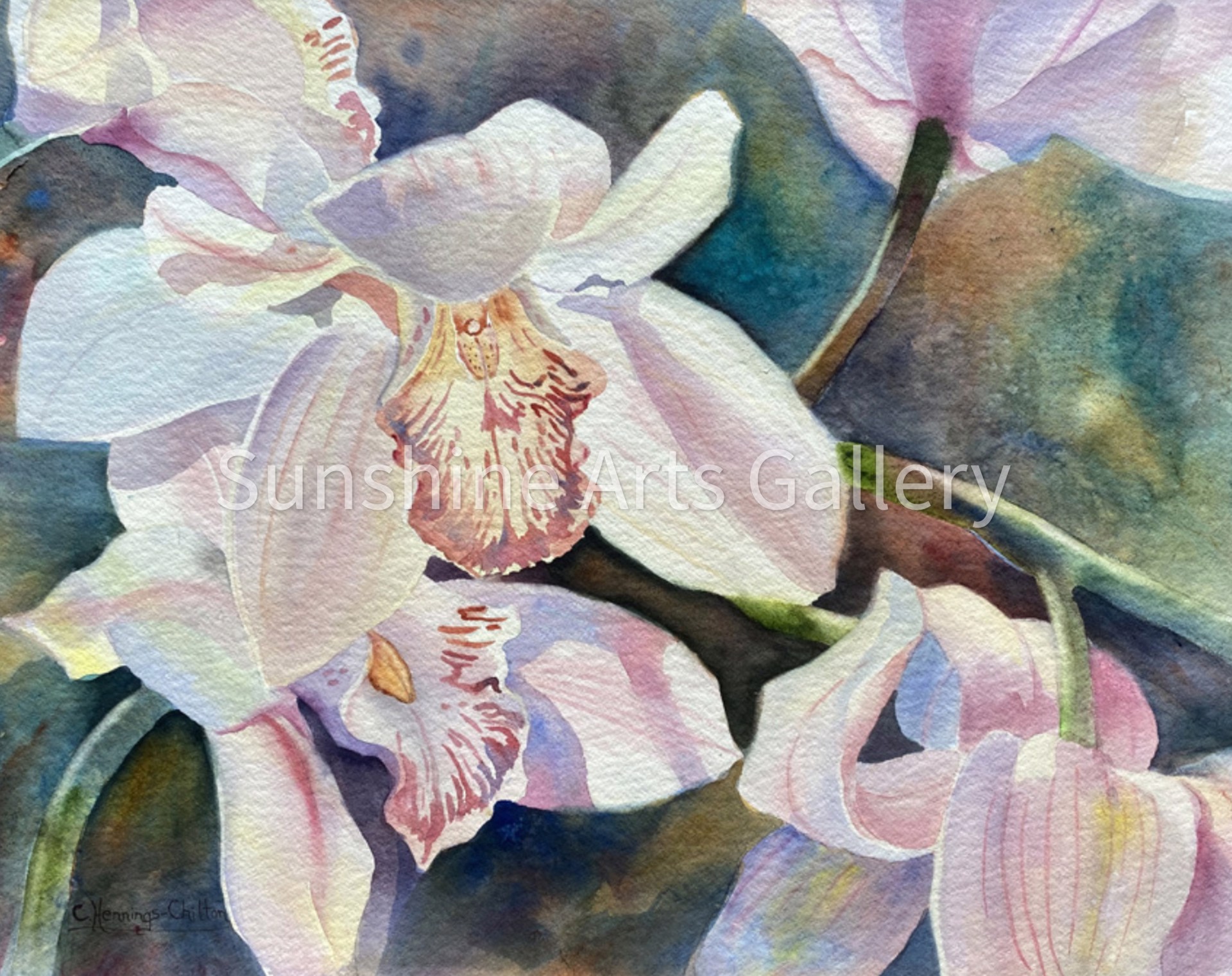 Orchid Light by Connie Hennings-Chilton