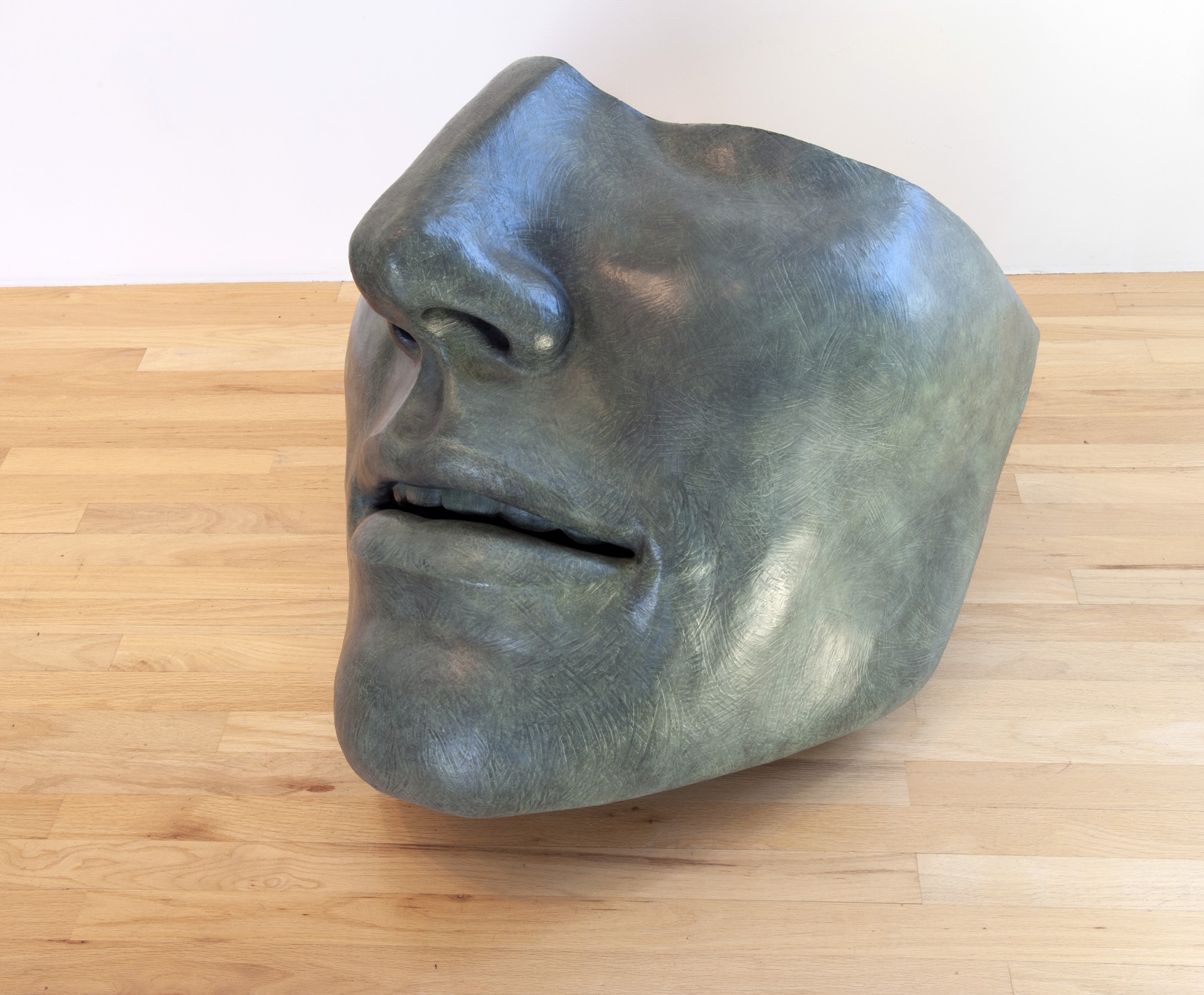 Large Face Fragment III ed 10/12 by Susan Stamm Evans