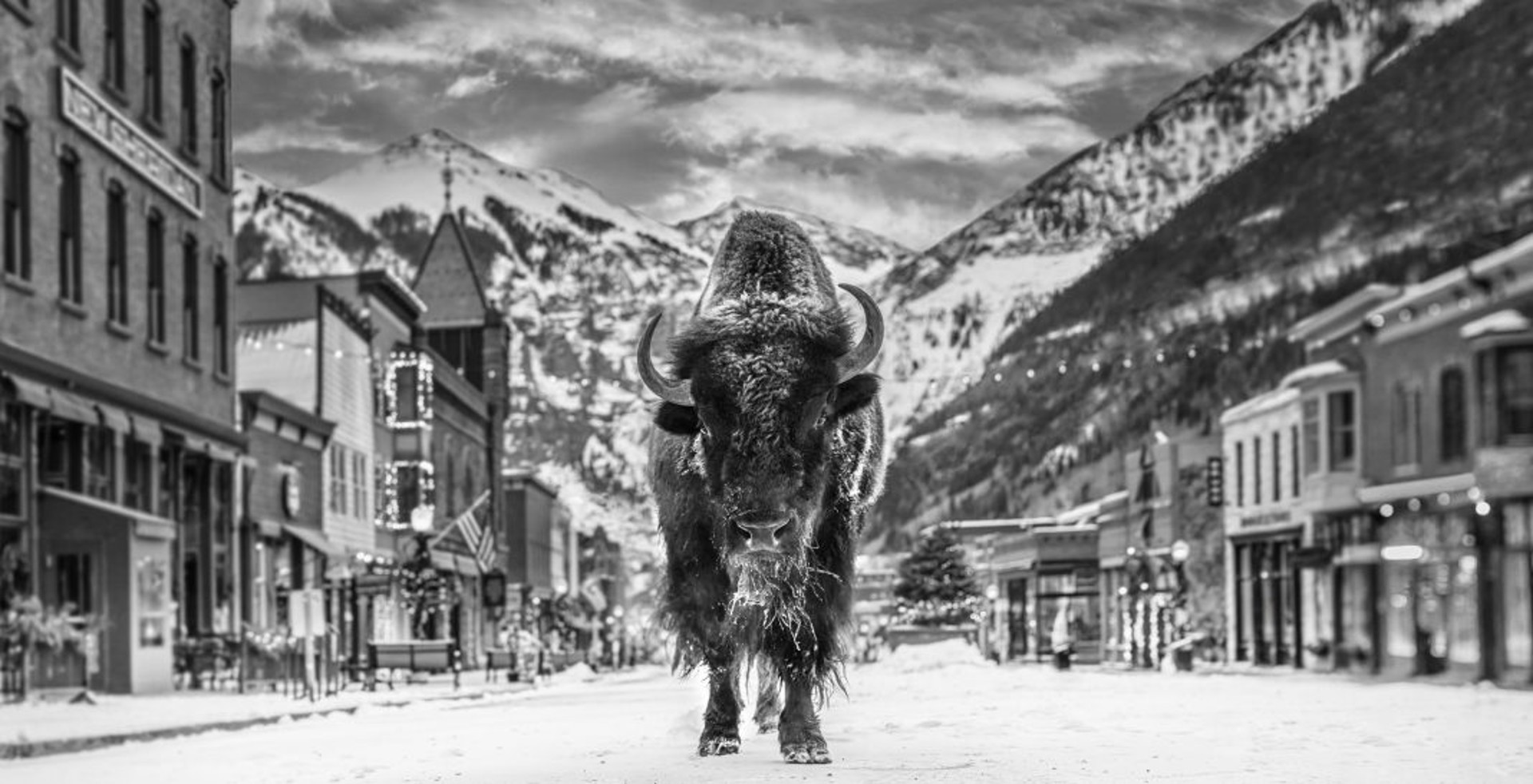 The Bison on Main by David Yarrow