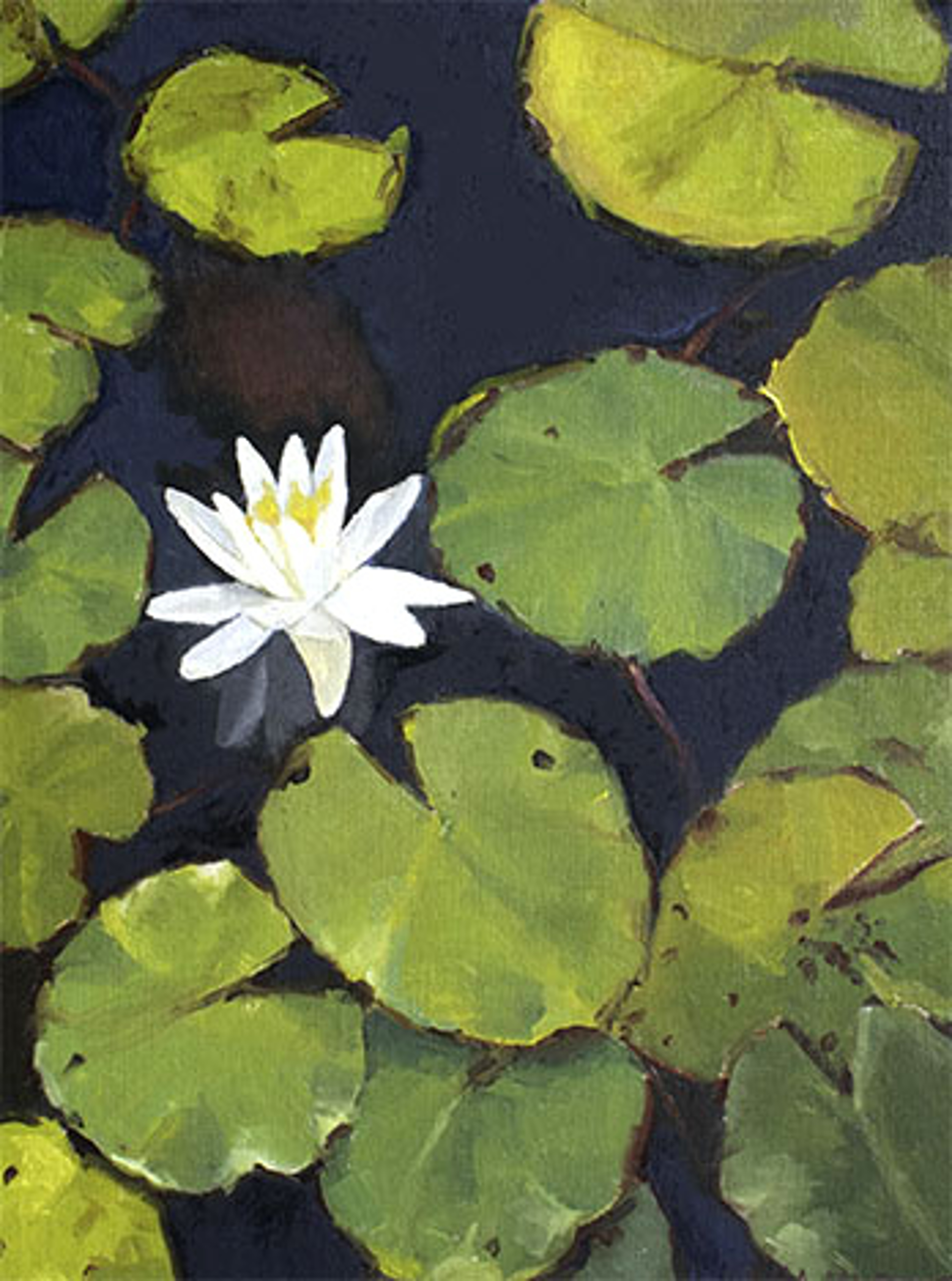 Awakening Water Lily by Laura Murphey
