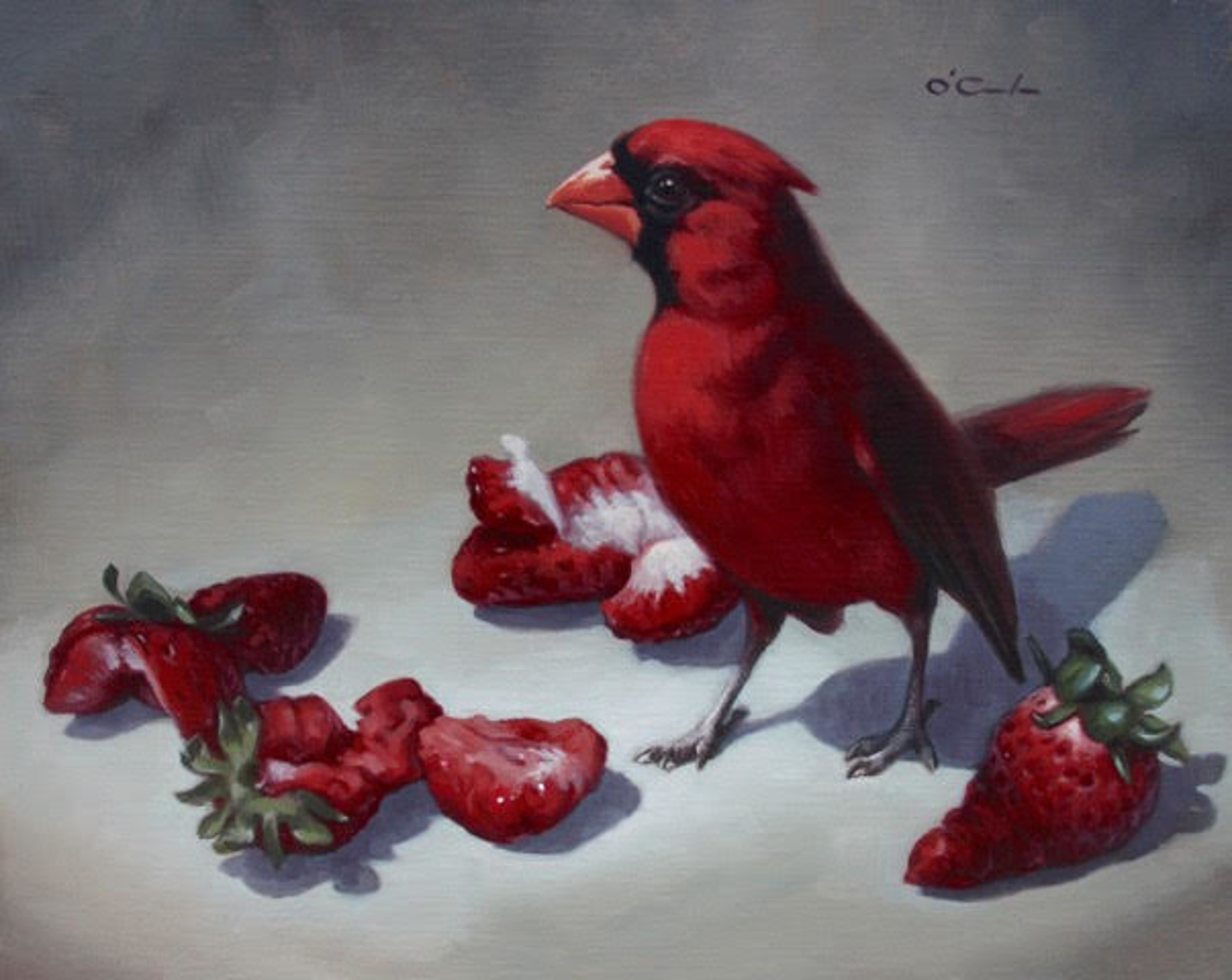 Berry Red  by Jennifer O'Cualain