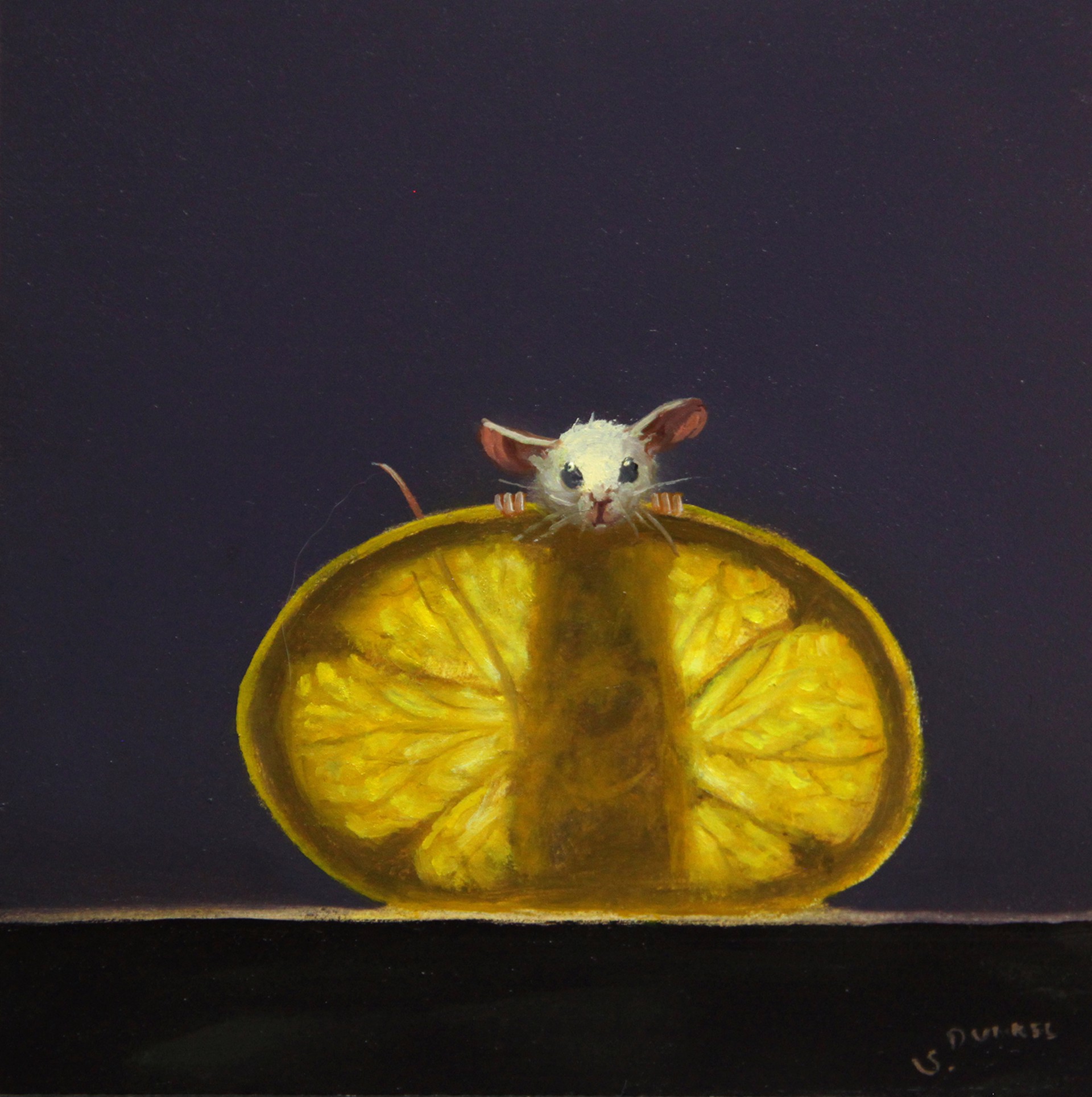 Lemon xray 26 by Stuart Dunkel