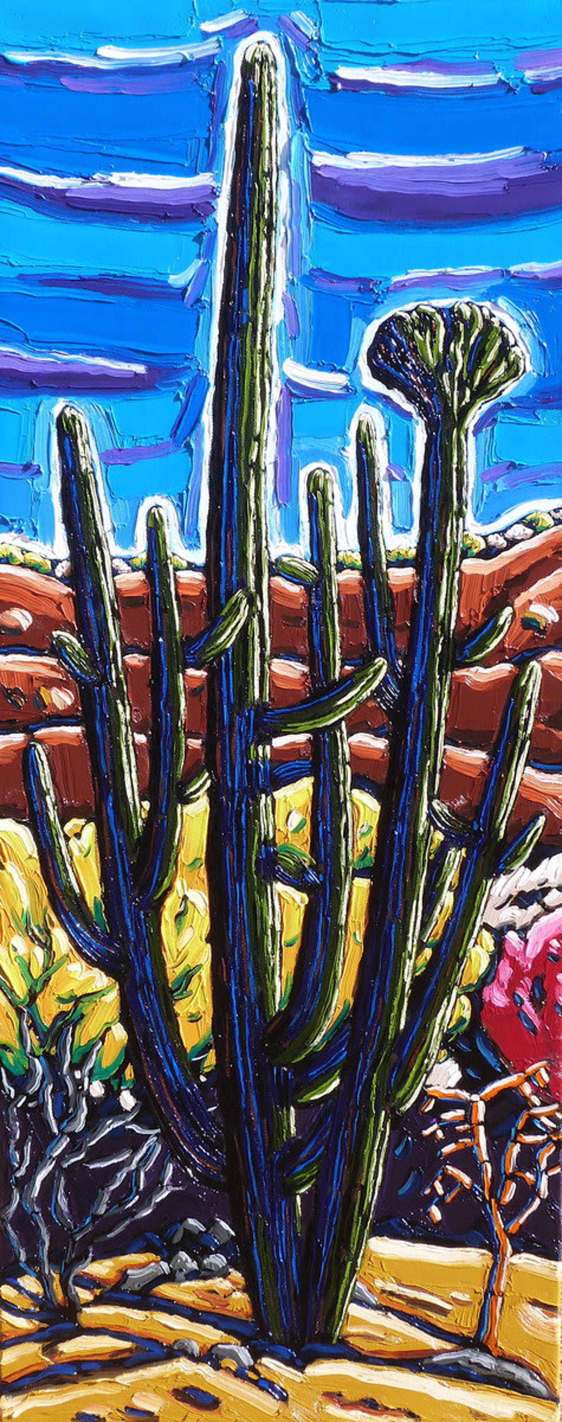 Double Saguaro Near Sahuarita by Neil Myers