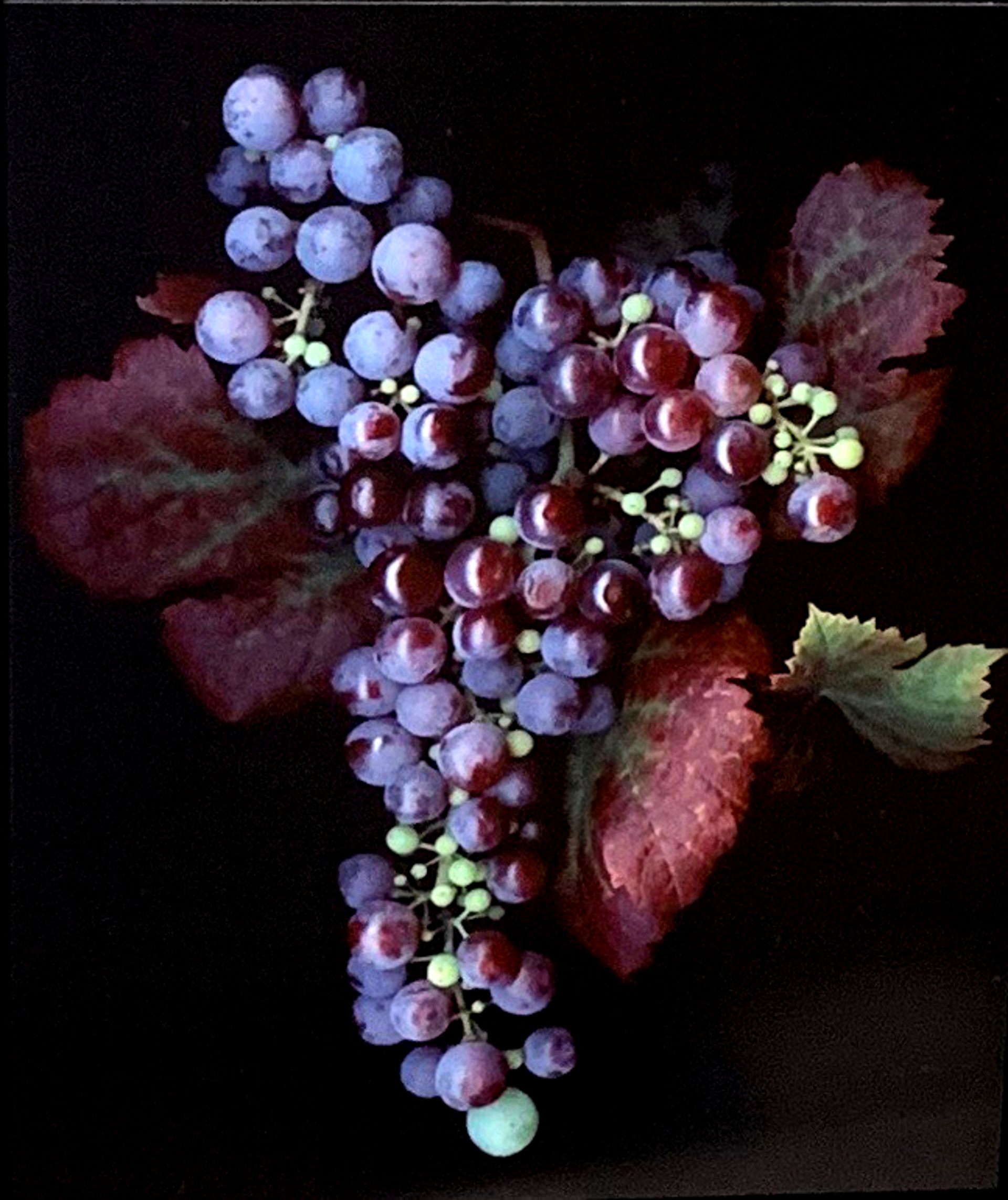 Merlot II by Laurie Tennent