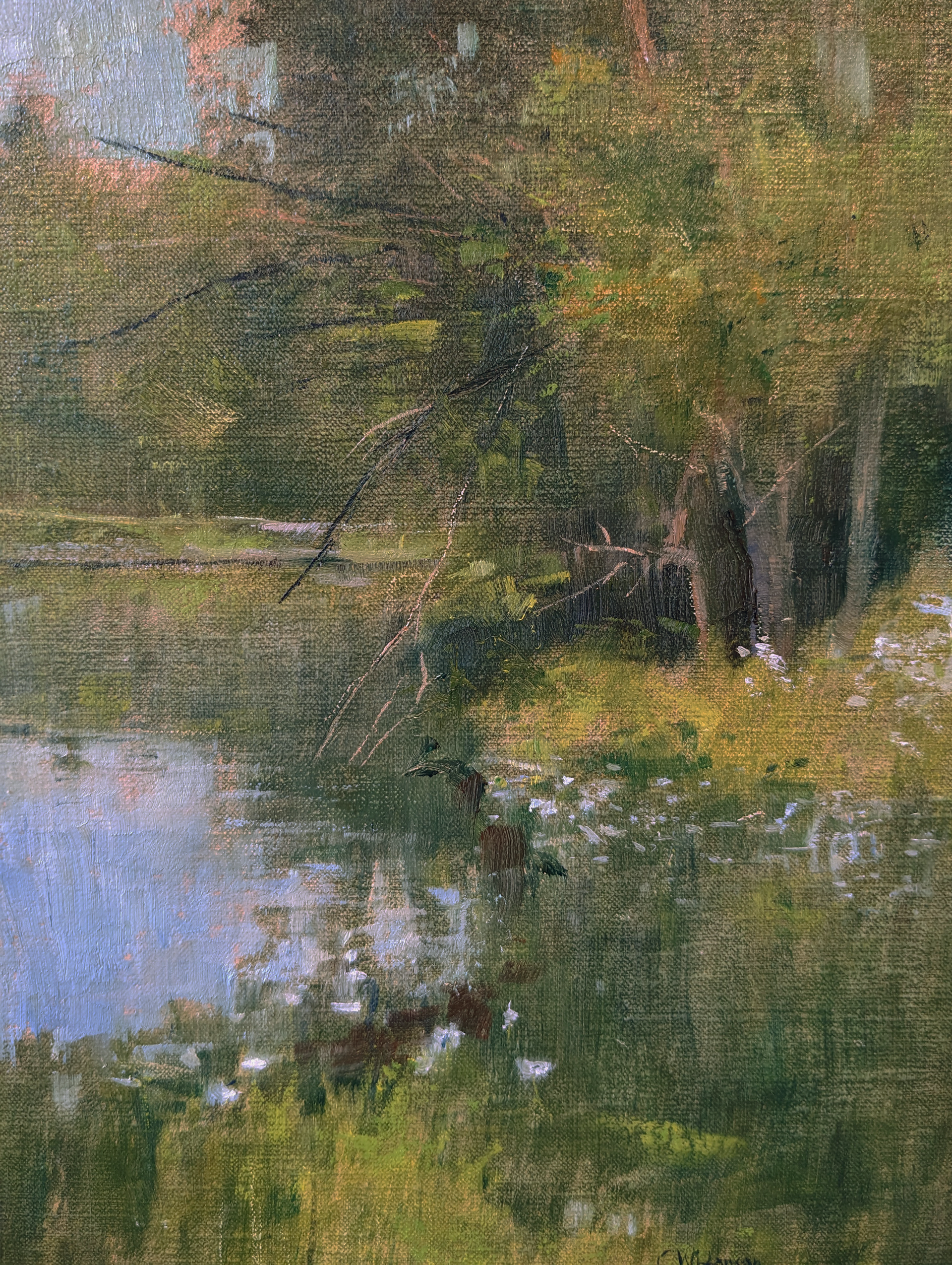 Duck Pond by Curt Hanson