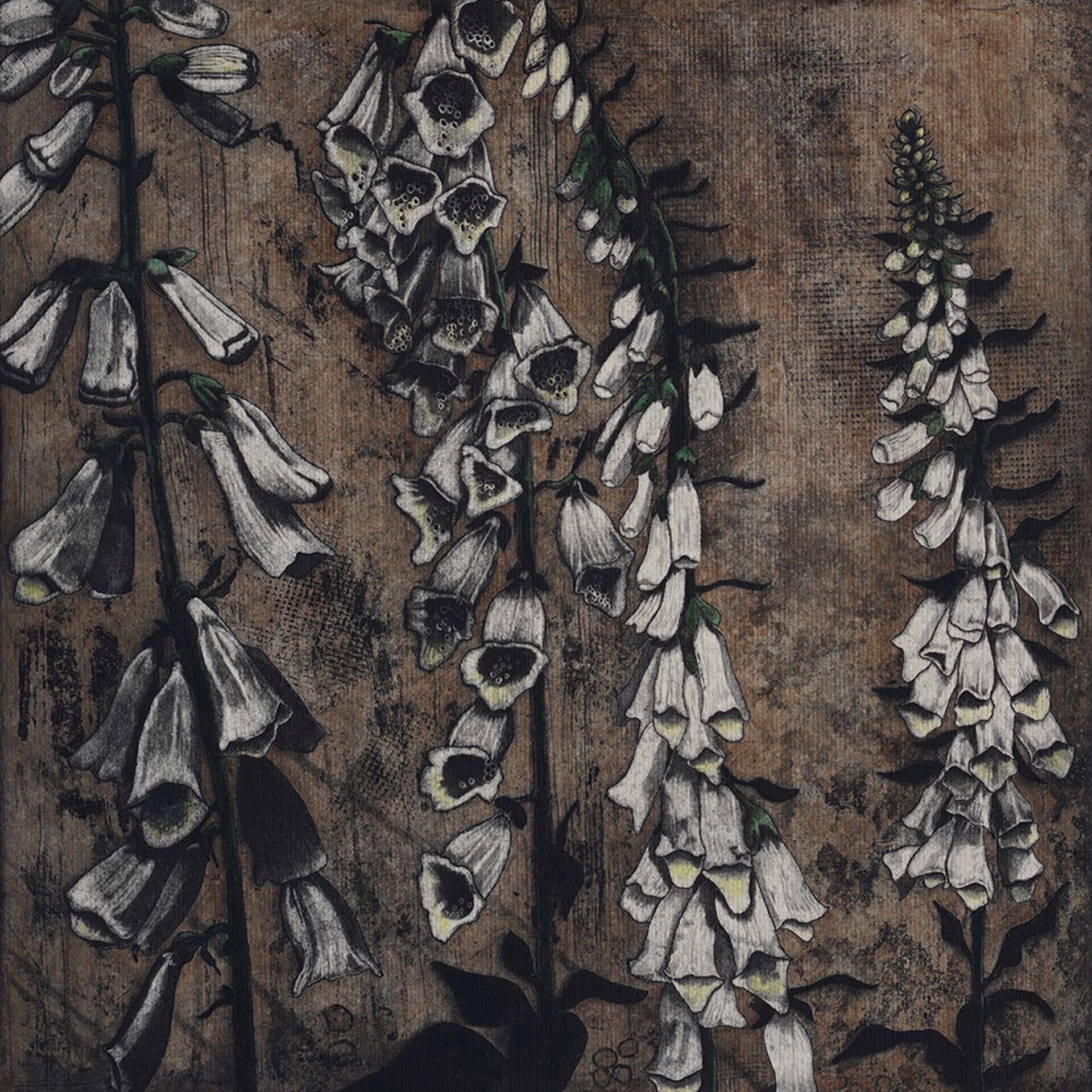foxglove by Patricia L. Giraud
