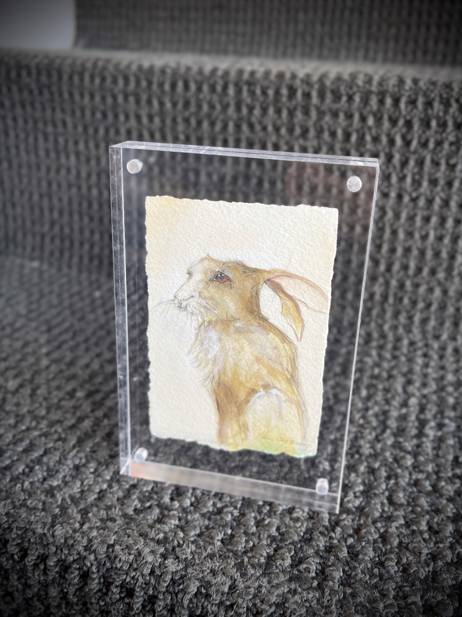Minature in Acrylic Frames Bunnies by Kelly Rysavy Signature Art