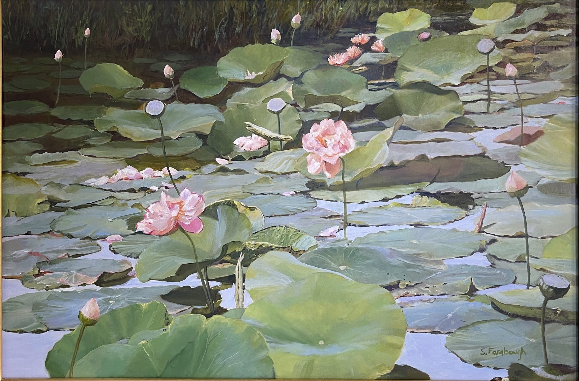 Lotus Pond by Sheri Farabaugh
