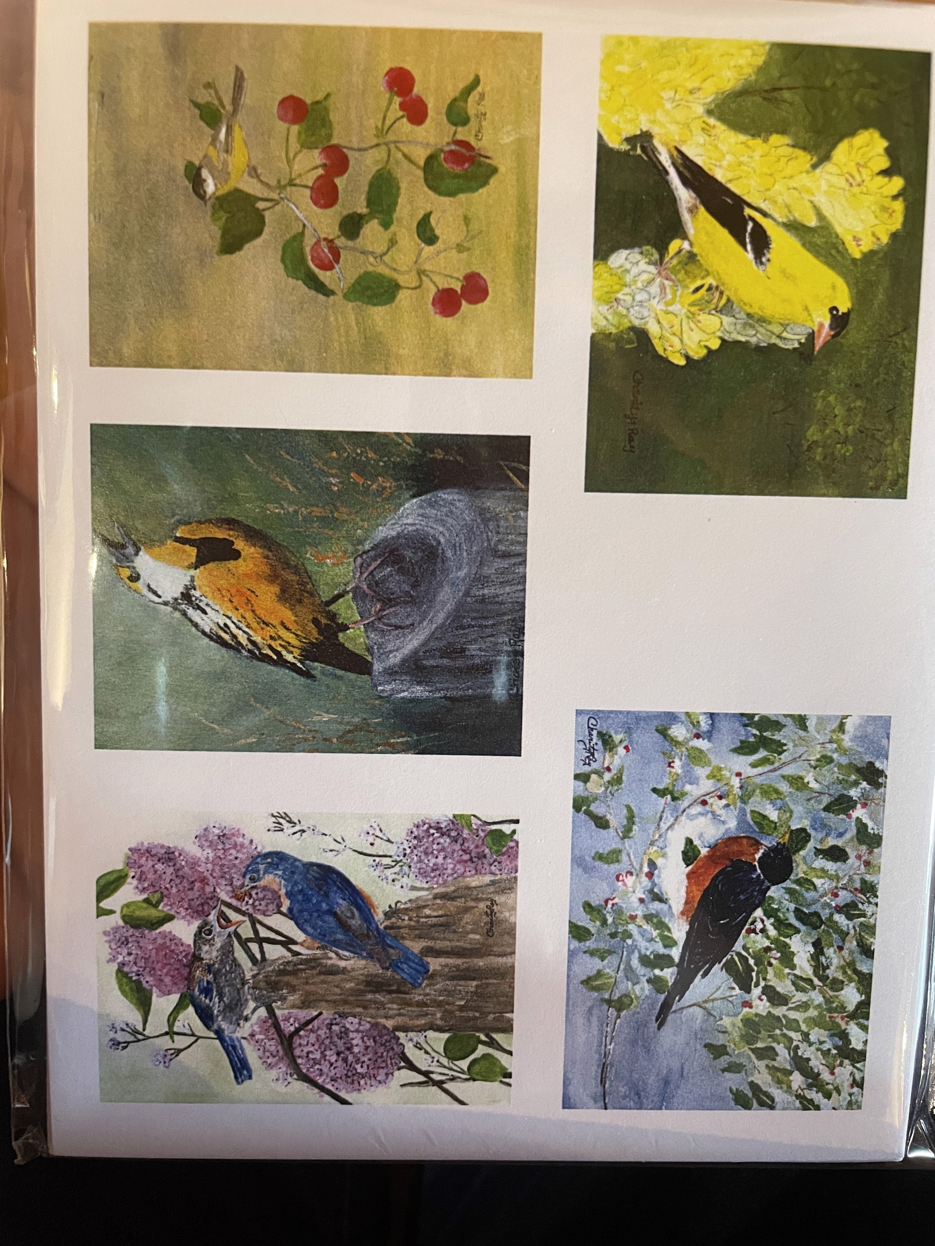 Notecards - Birds by Charity Ray