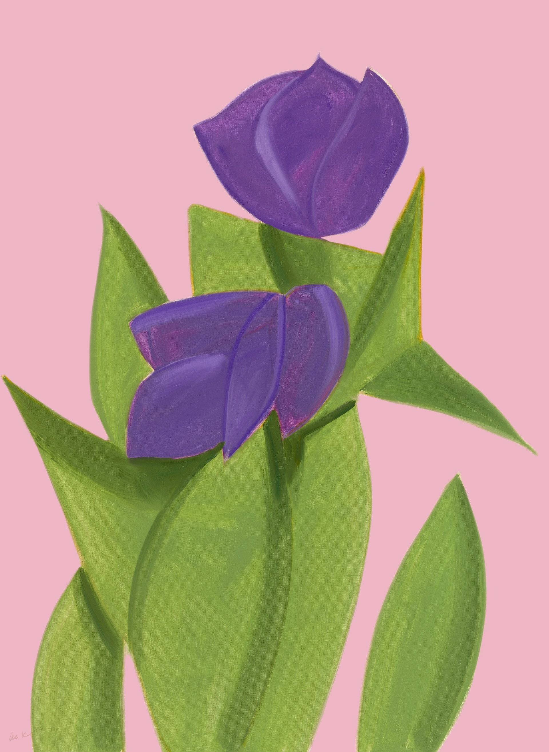 Purple Tulips 2 by Alex Katz (b. 1927)