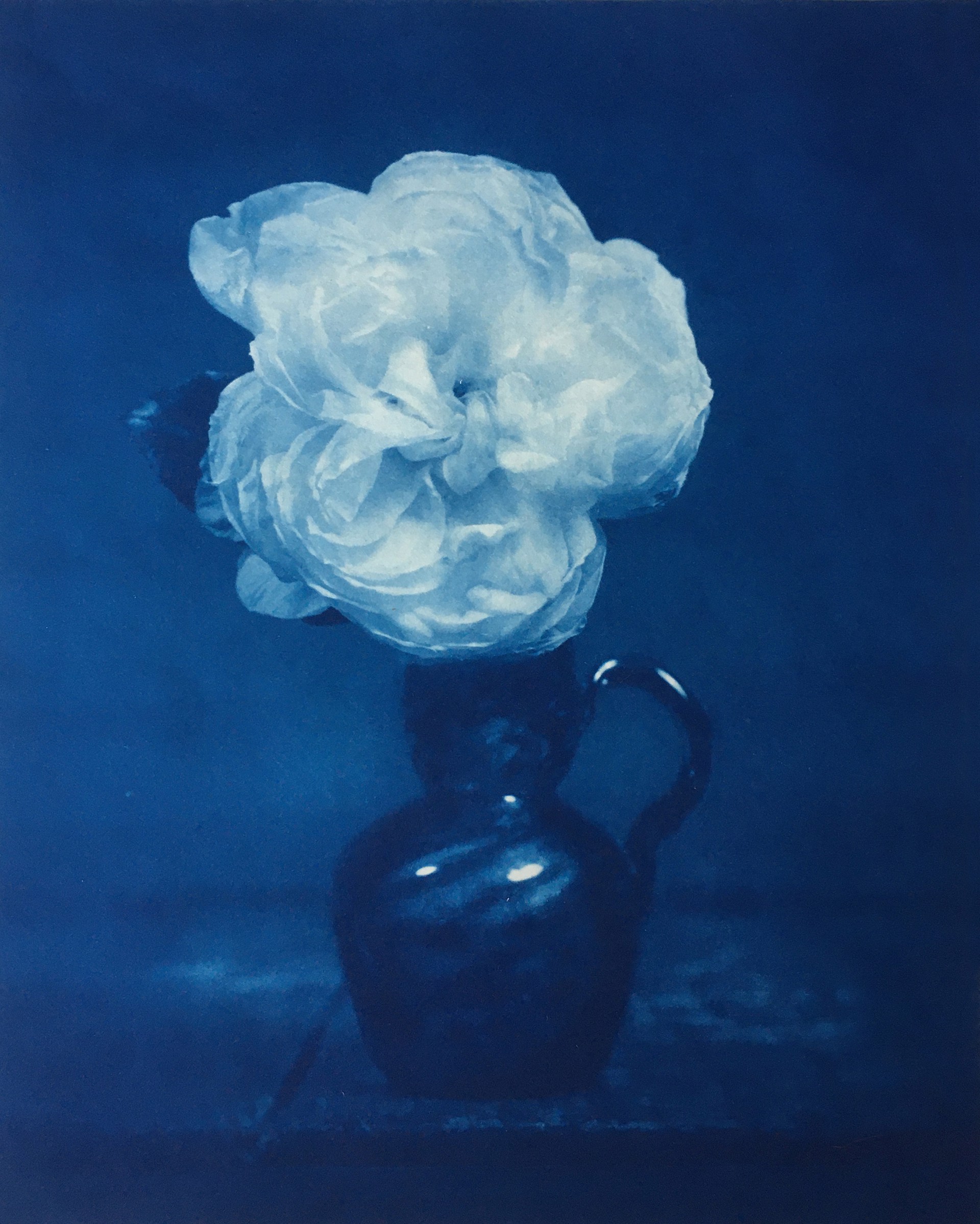 Rose in a Blue Glass Vase by David Sokosh