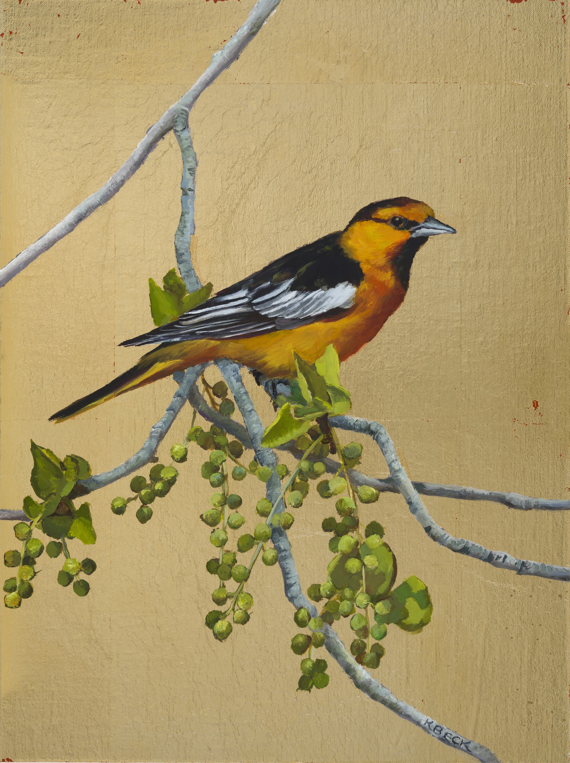 Early Spring Oriole by Kimberly Beck