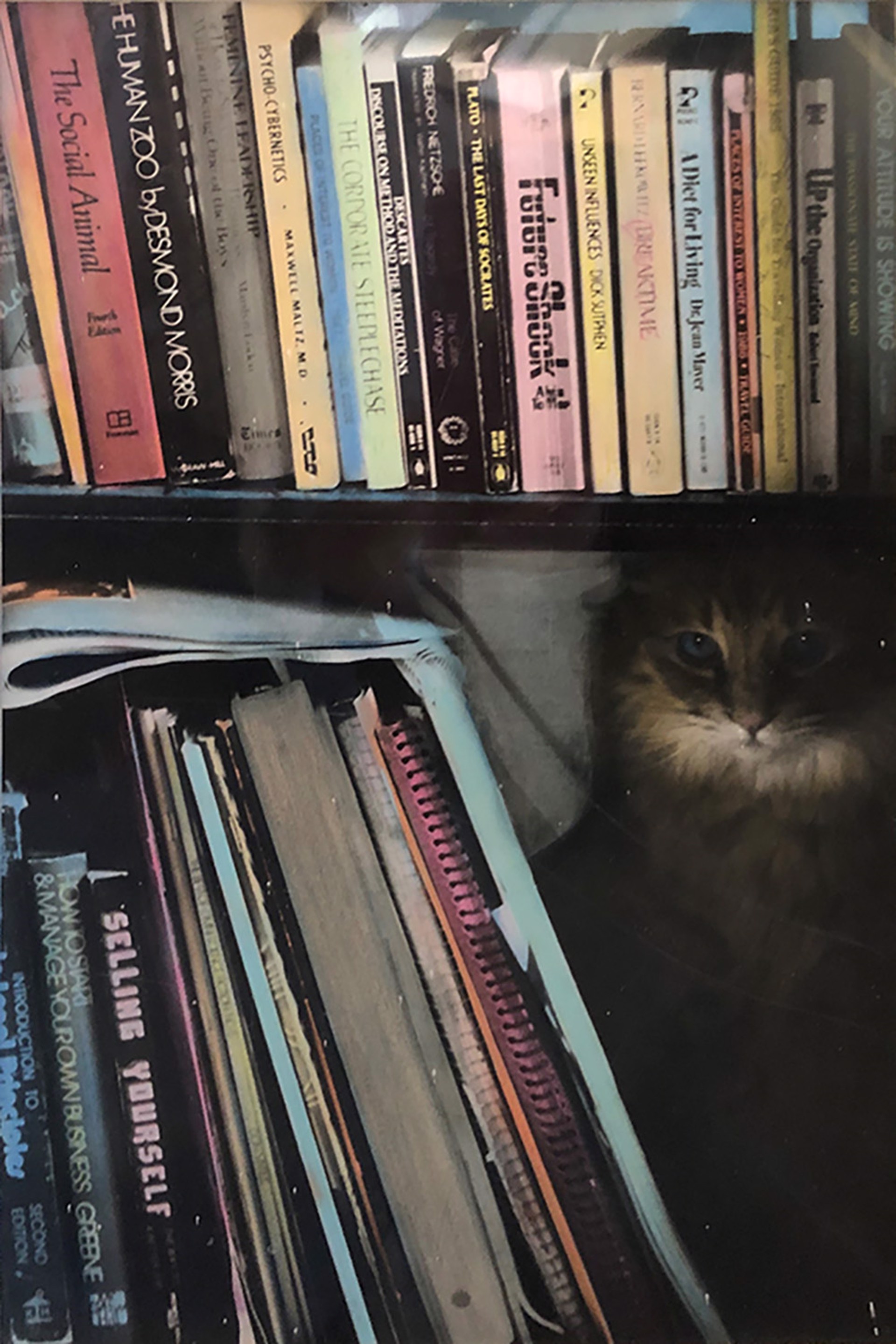 Cat With Books by Bridgette Sandoval