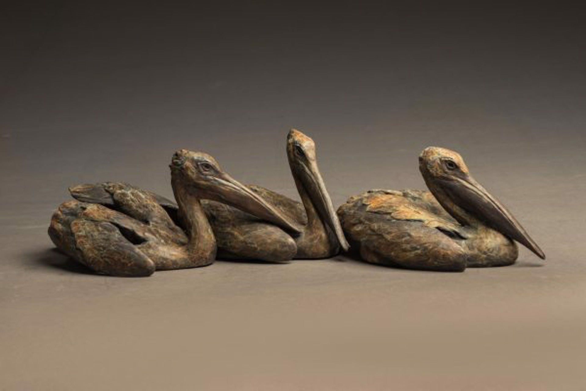 Tres Pescadores (Pelicans) by Stefan Savides