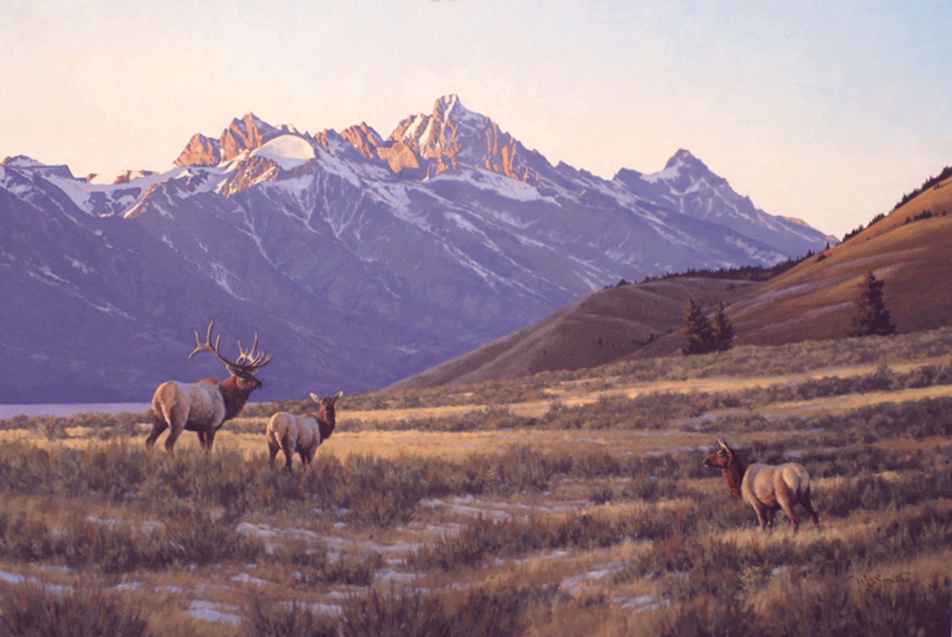 Elk at Hill Billy II by William Smith
