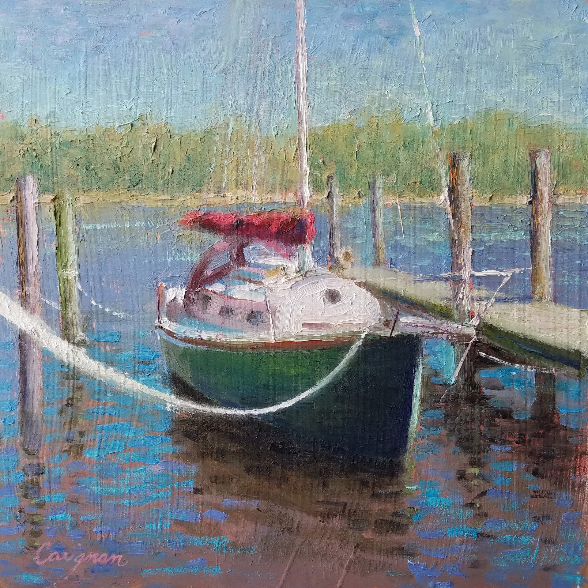 The Little Green Boat by Todd Carignan