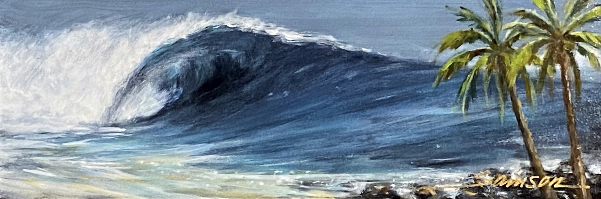 North Shore Shorebreak by Lee Samson