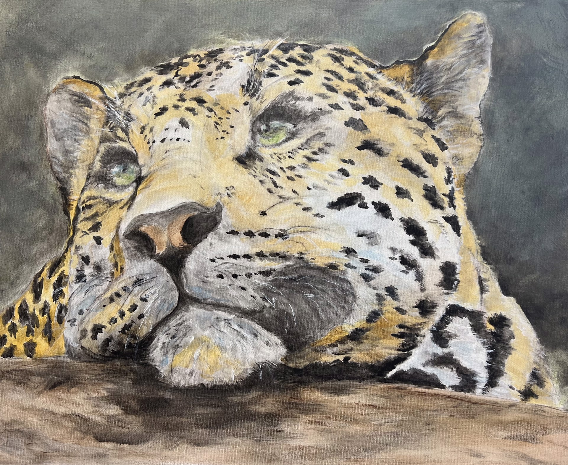 Leopard by Carol Pankratz