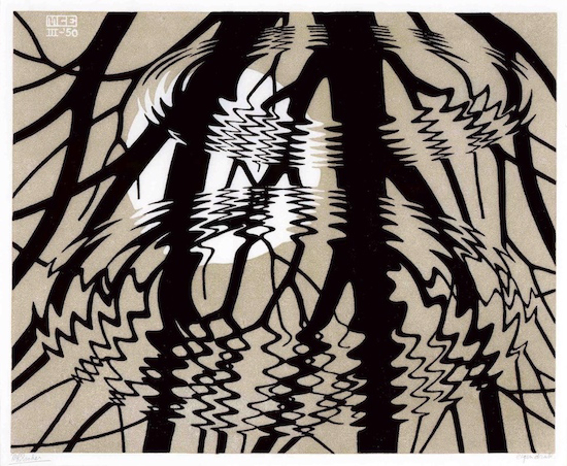 Rippled Surface by M.C. Escher