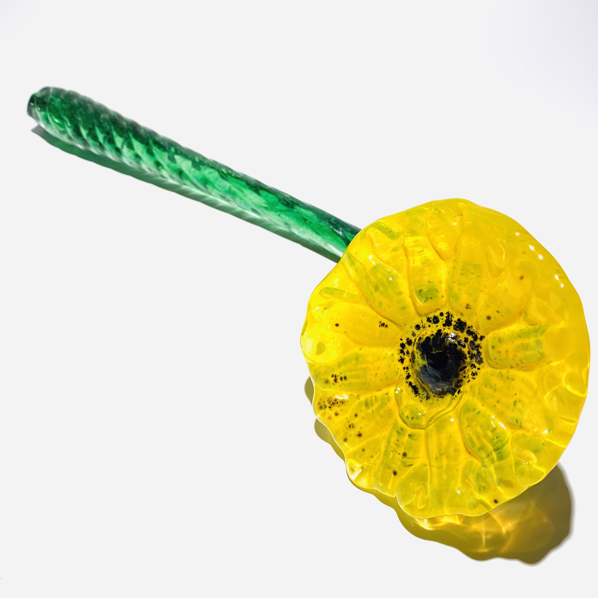Flower-Yellow, JG4 by John Glass