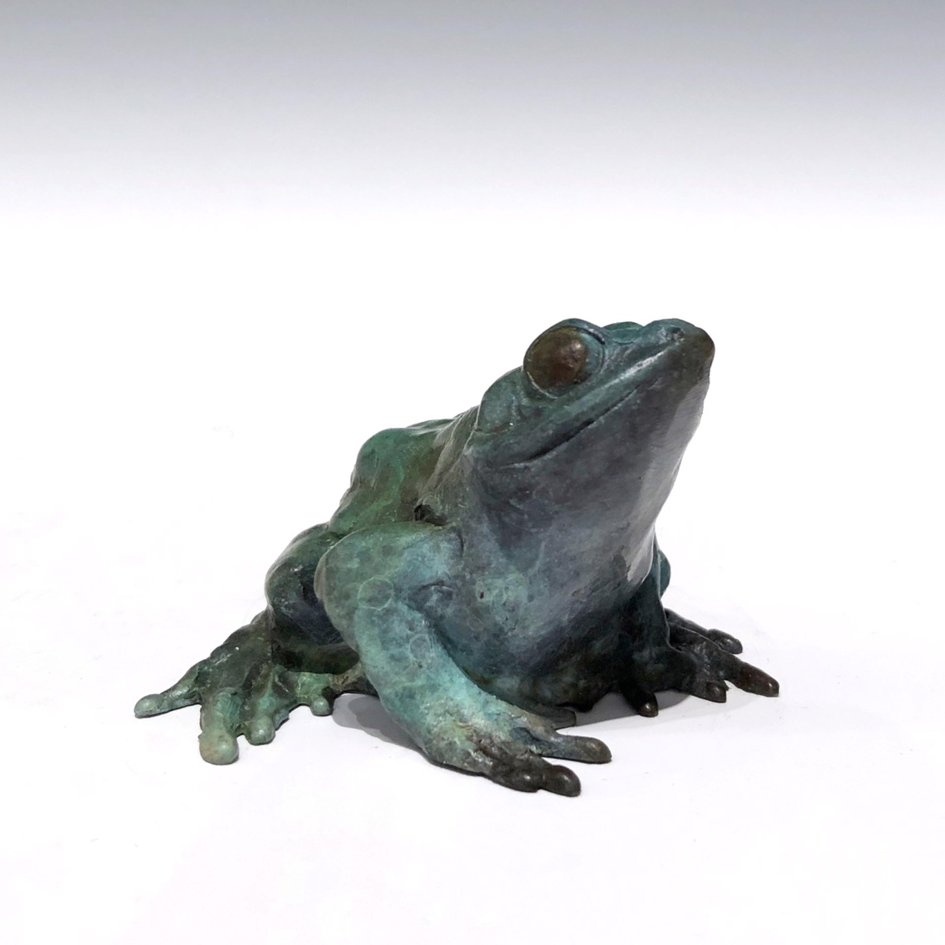 Sitting Frog by Dan Chen