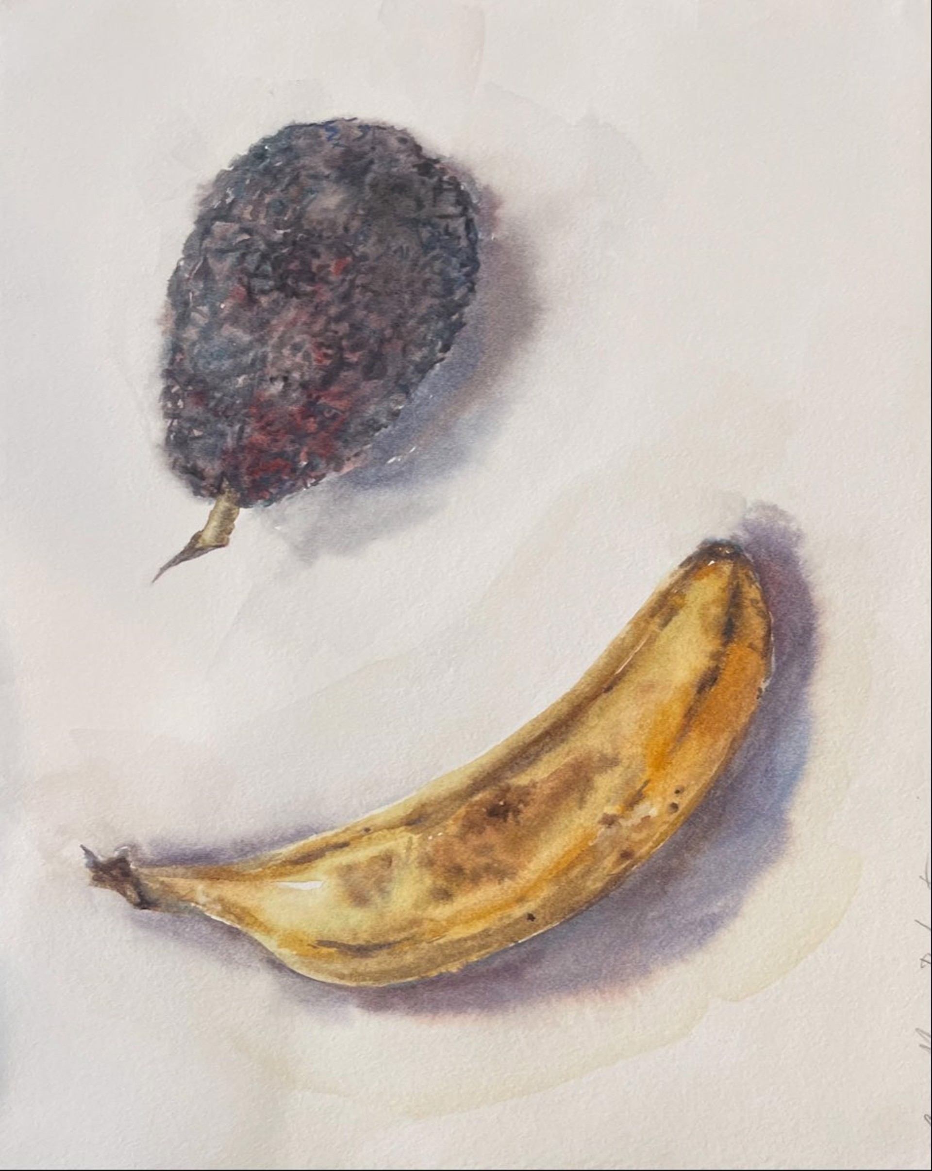 Avocado and Banana by Anna-Marie Babington