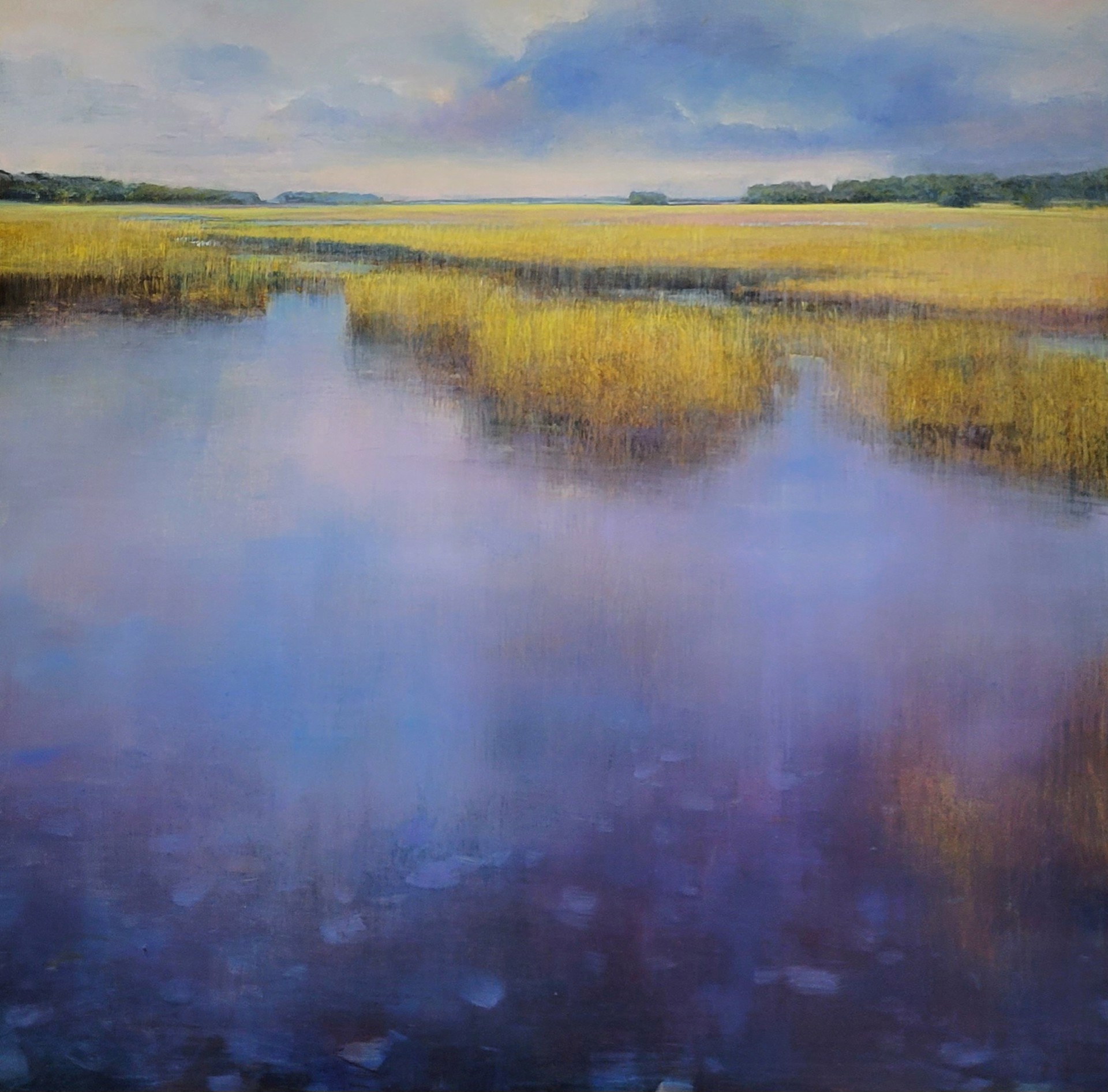Marsh Vibrance by David Dunlop