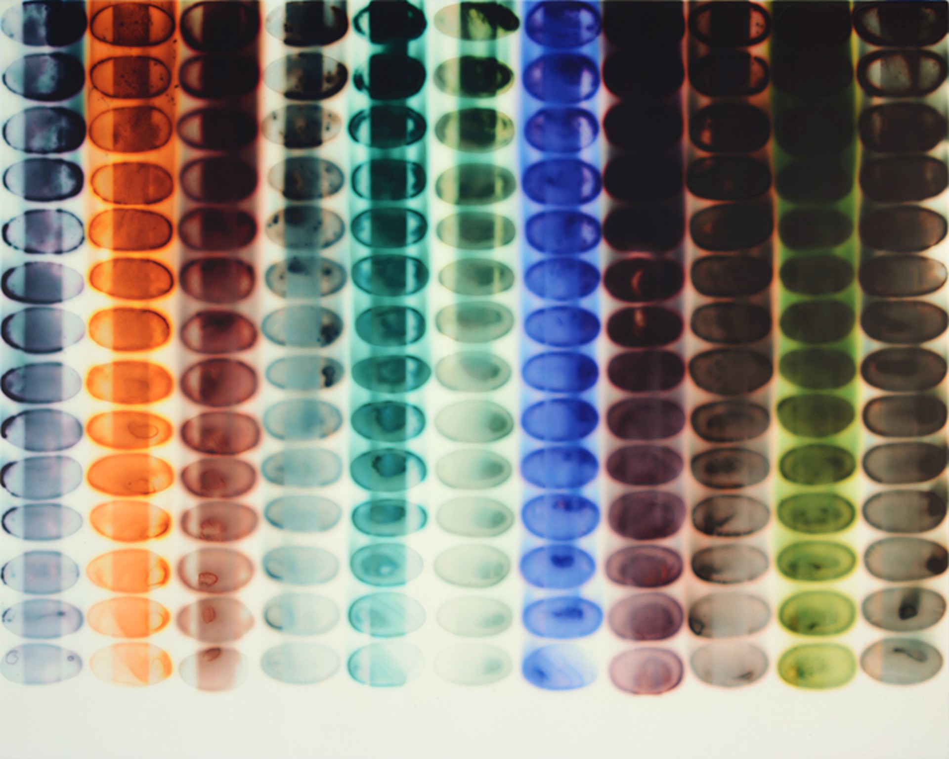 11 Dilutions by Jaq Chartier