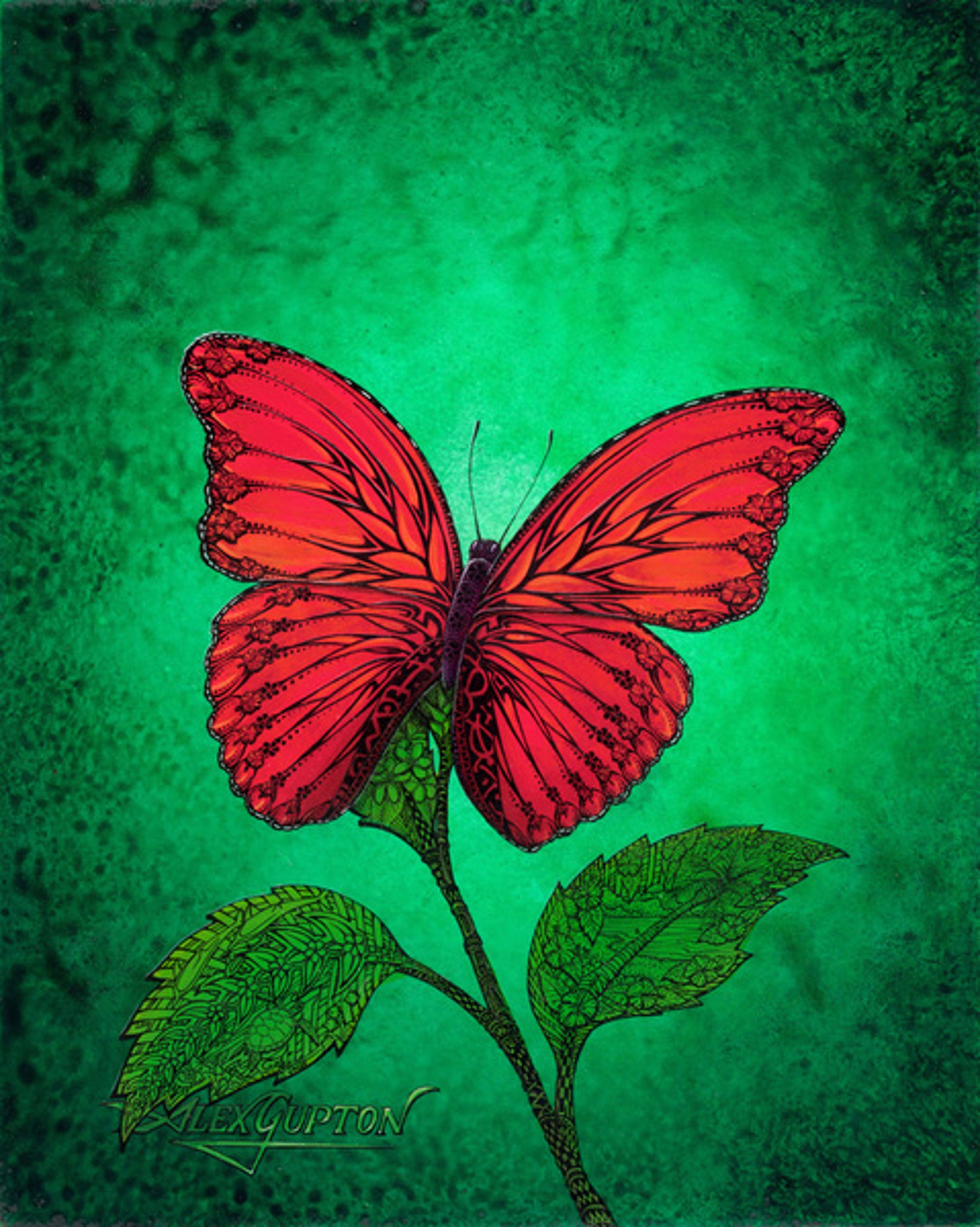 Flowering Butterfly by Alex Gupton