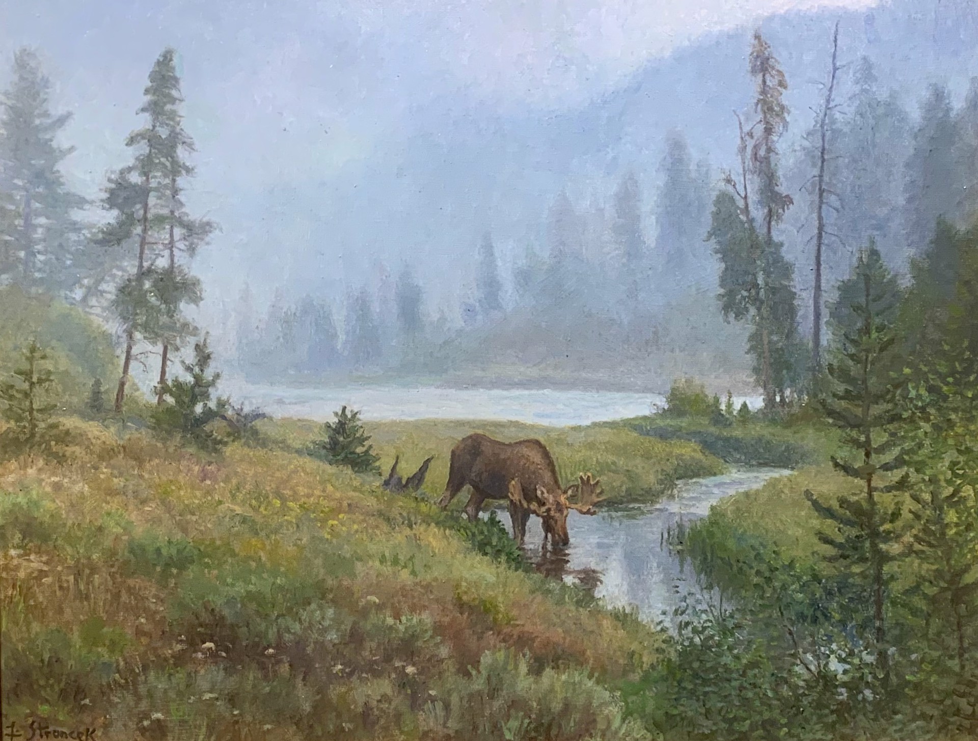 FOG AND VELVET by Lee Stroncek | Montana Trails Gallery