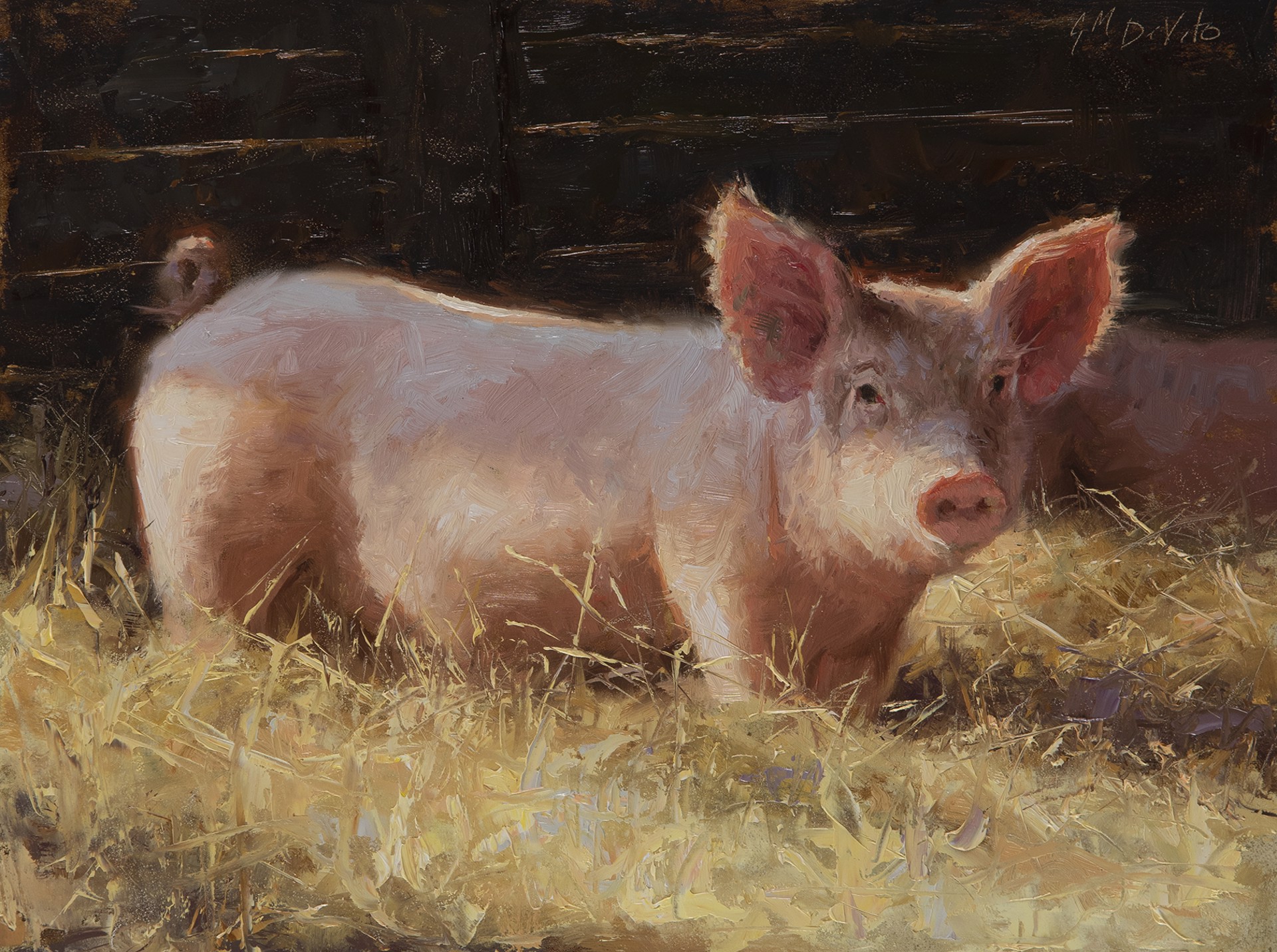 Pig in Sunlight by Grace Devito